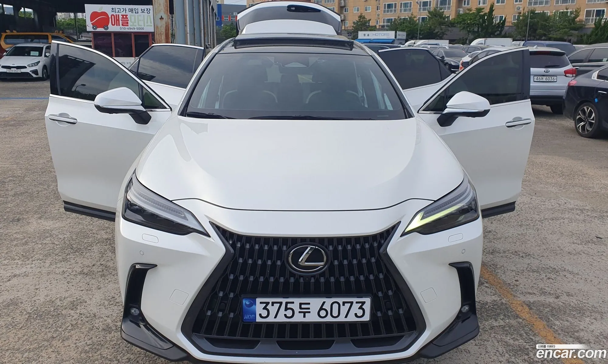 Lexus NX350h 2023 — 18