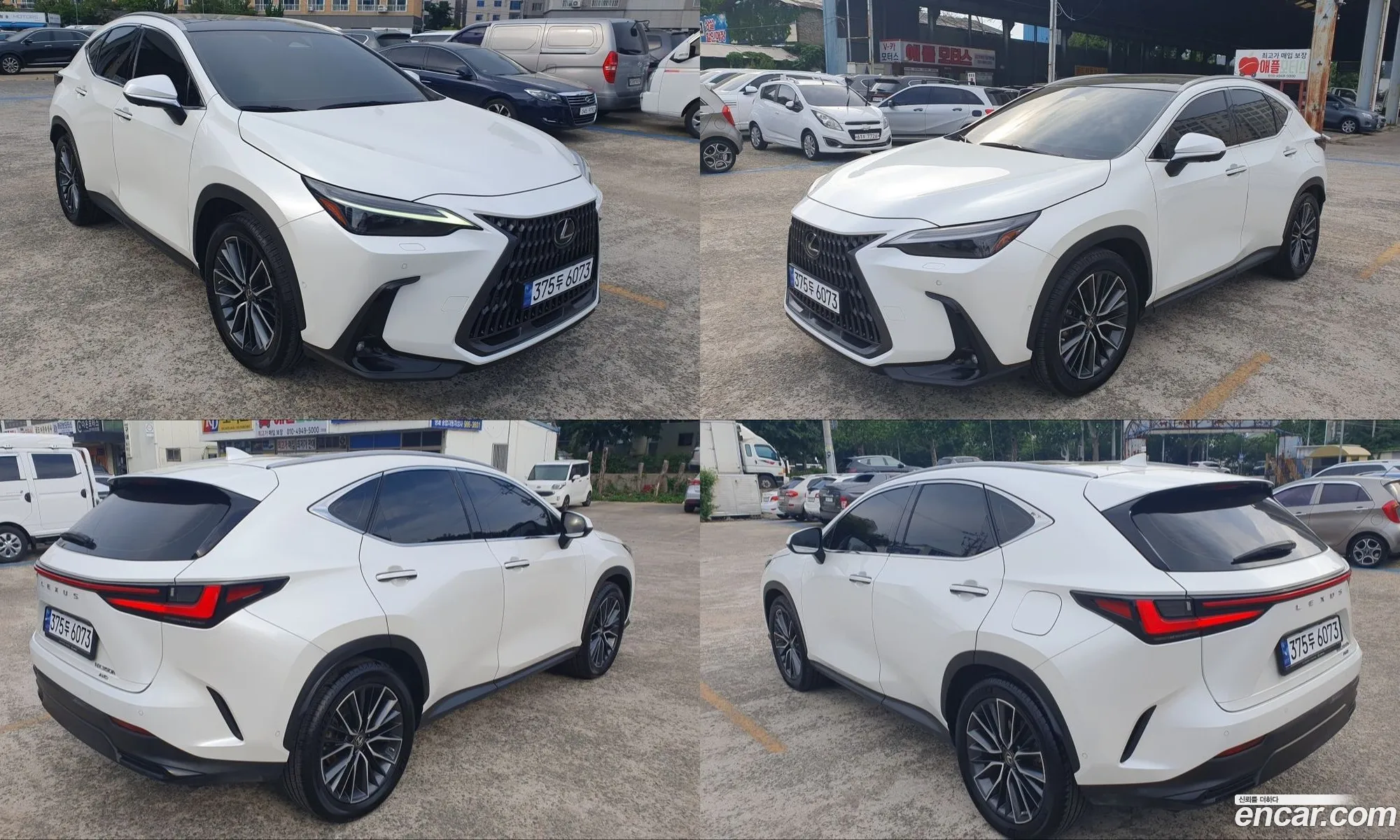 Lexus NX350h 2023 — 15