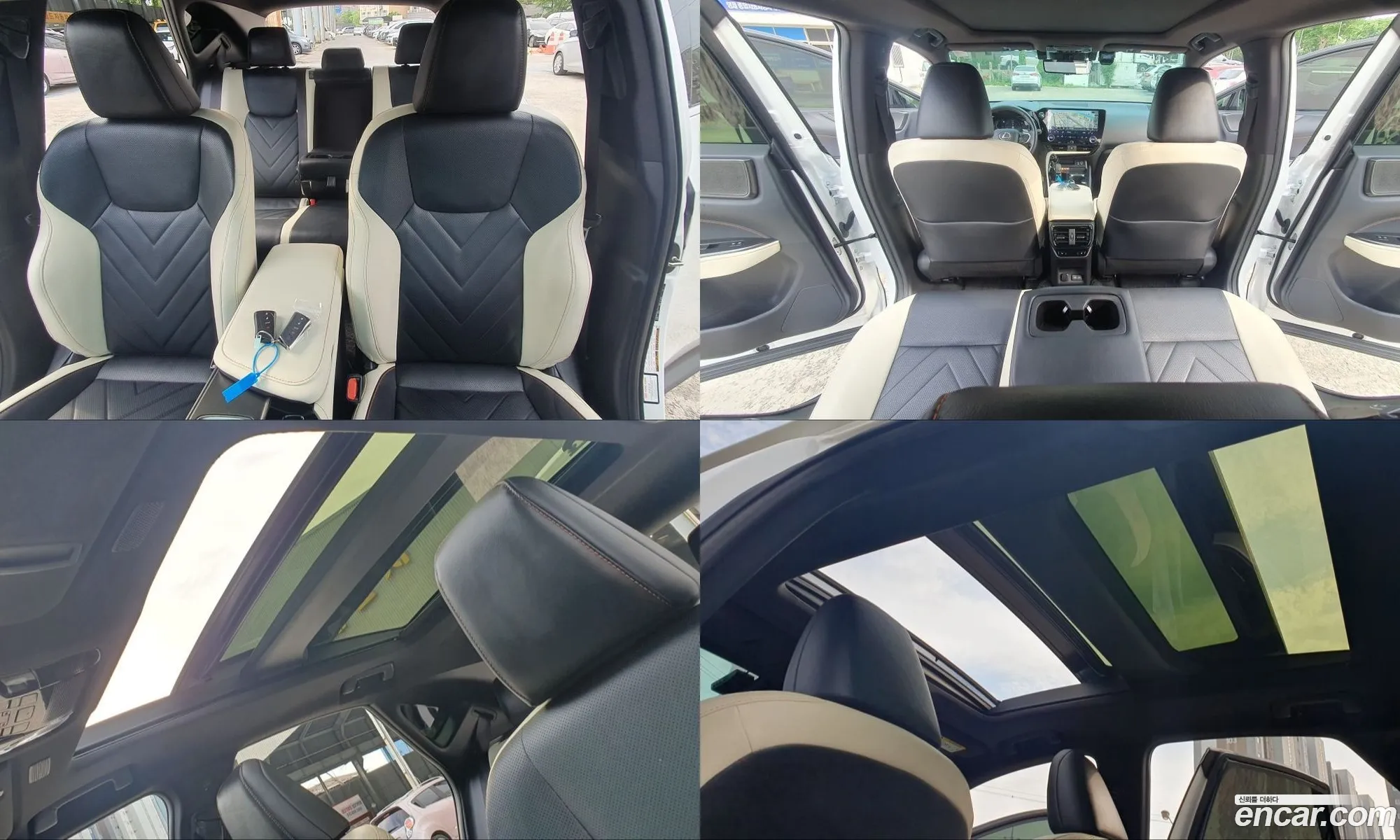 Lexus NX350h 2023 — 6