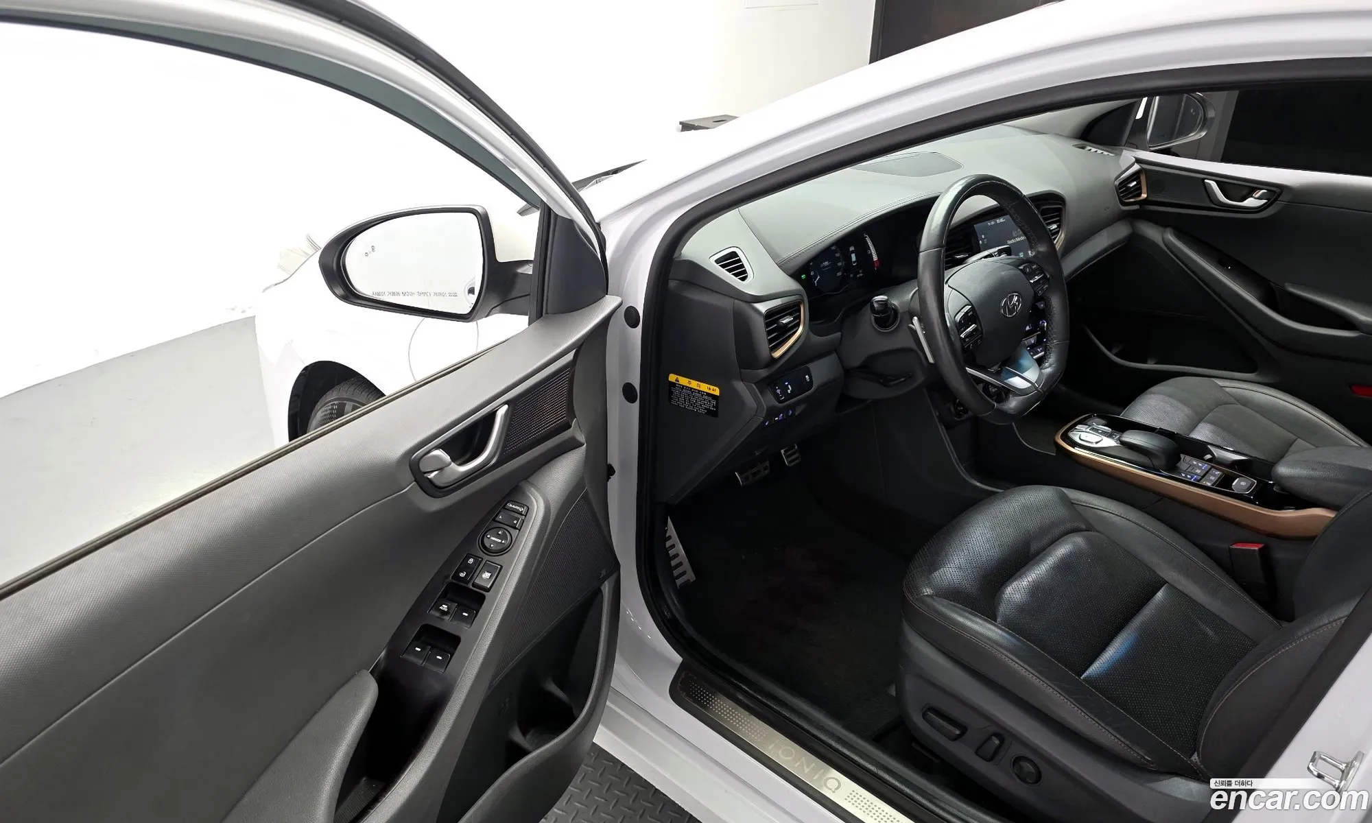 Hyundai Ioniq Electric 2016 — 17