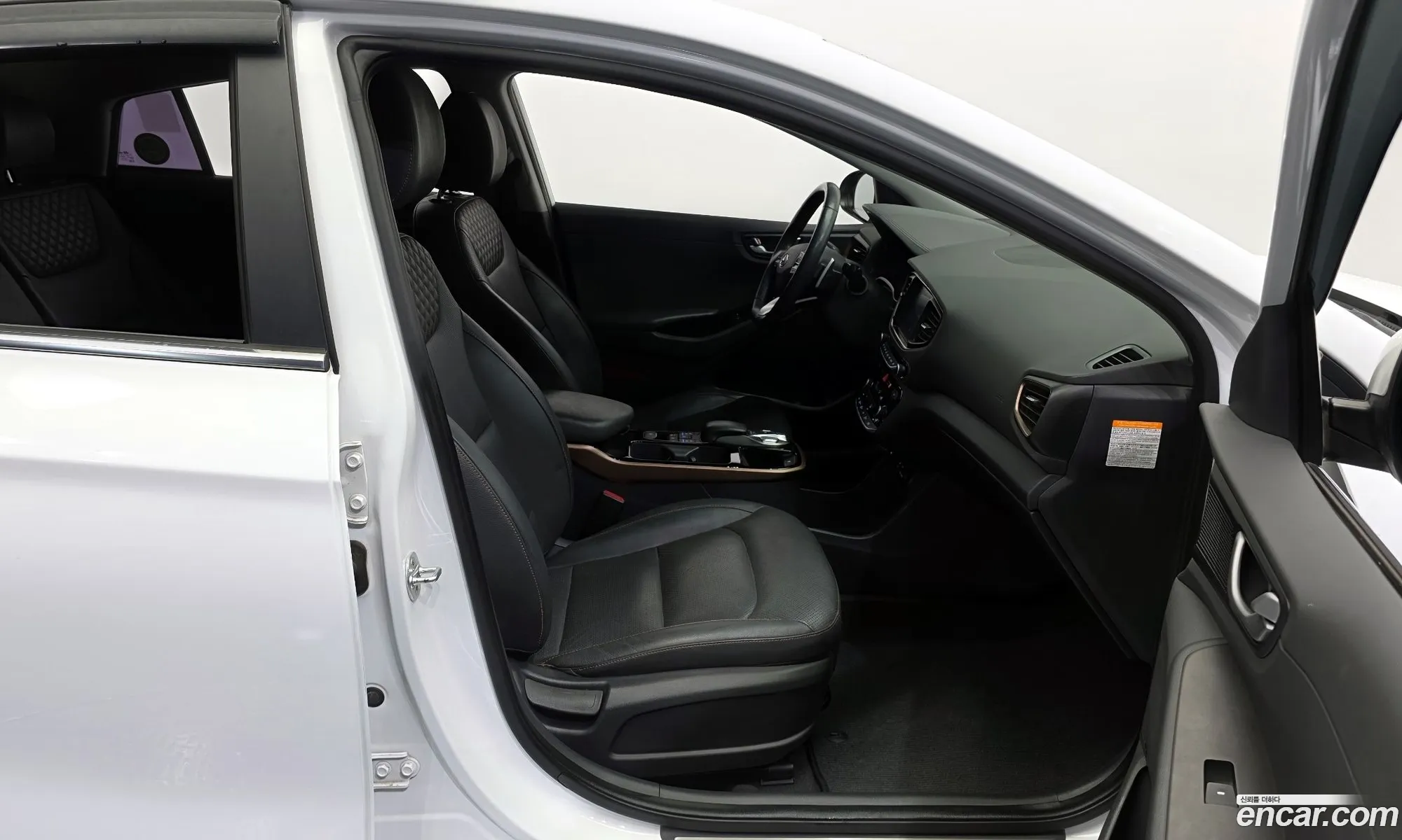 Hyundai Ioniq Electric 2016 — 19