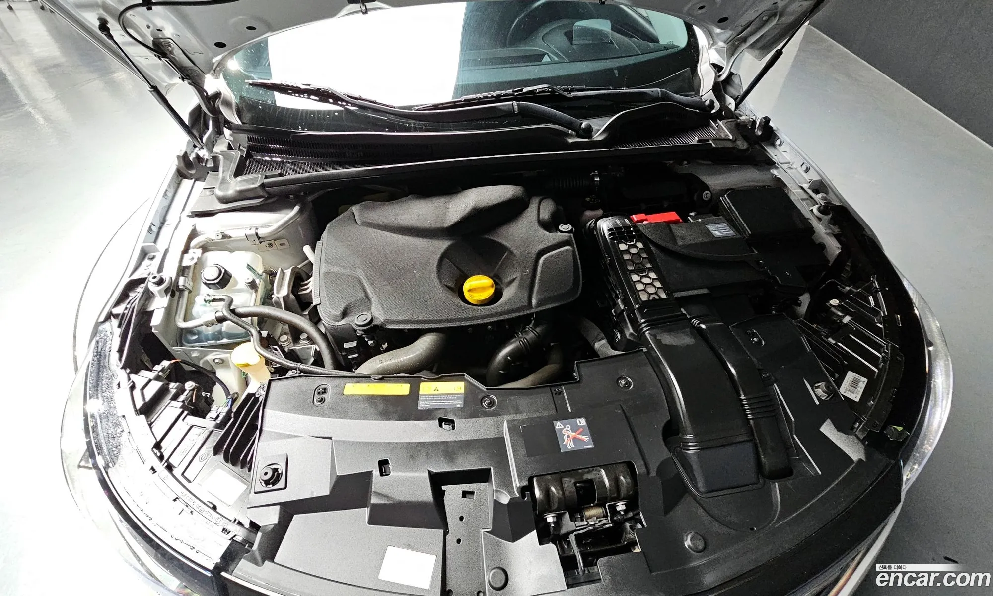 Renault Korea (Samsung) SM6 2018 — 17