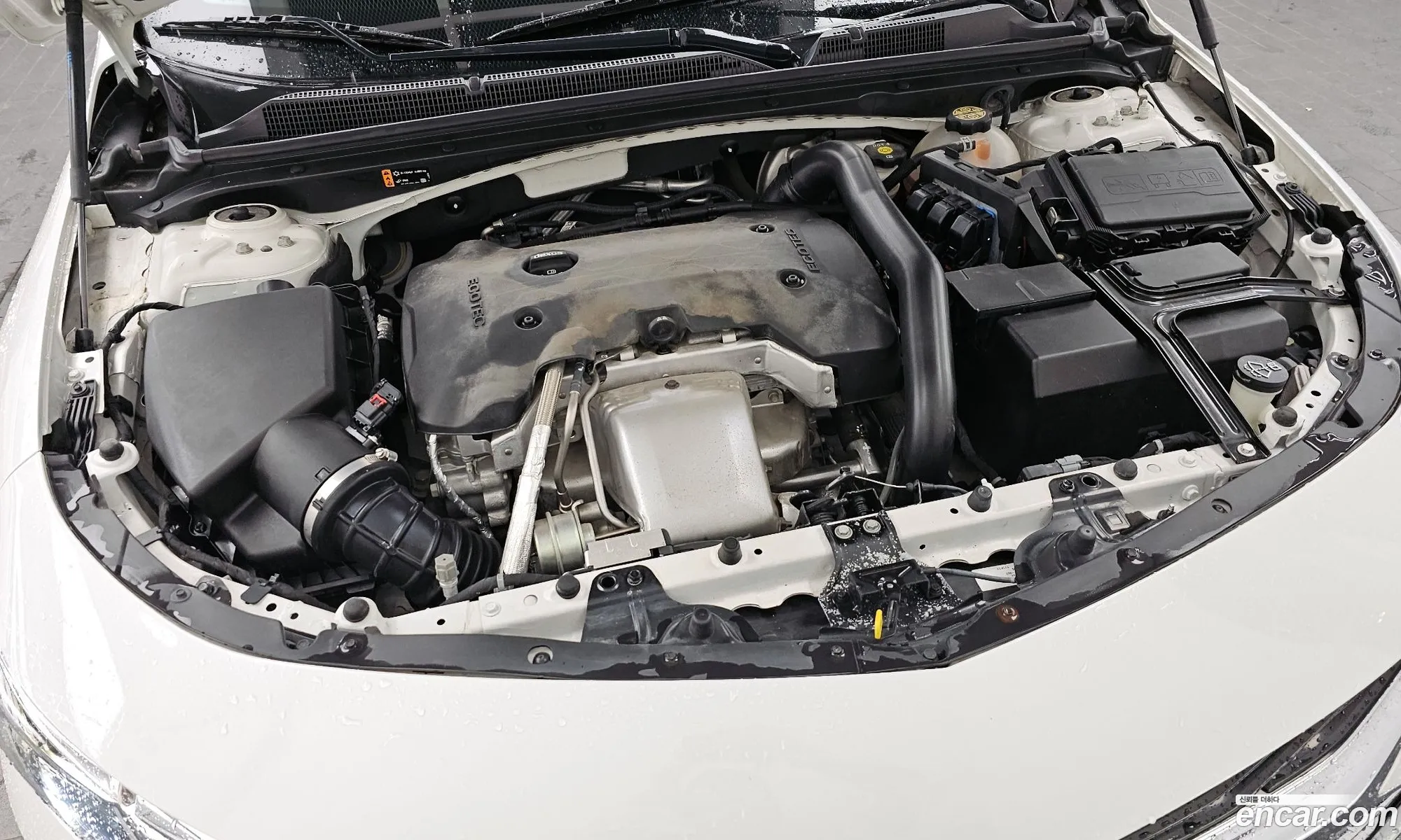Chevrolet (GM Daewoo) Malibu 2019 — 19