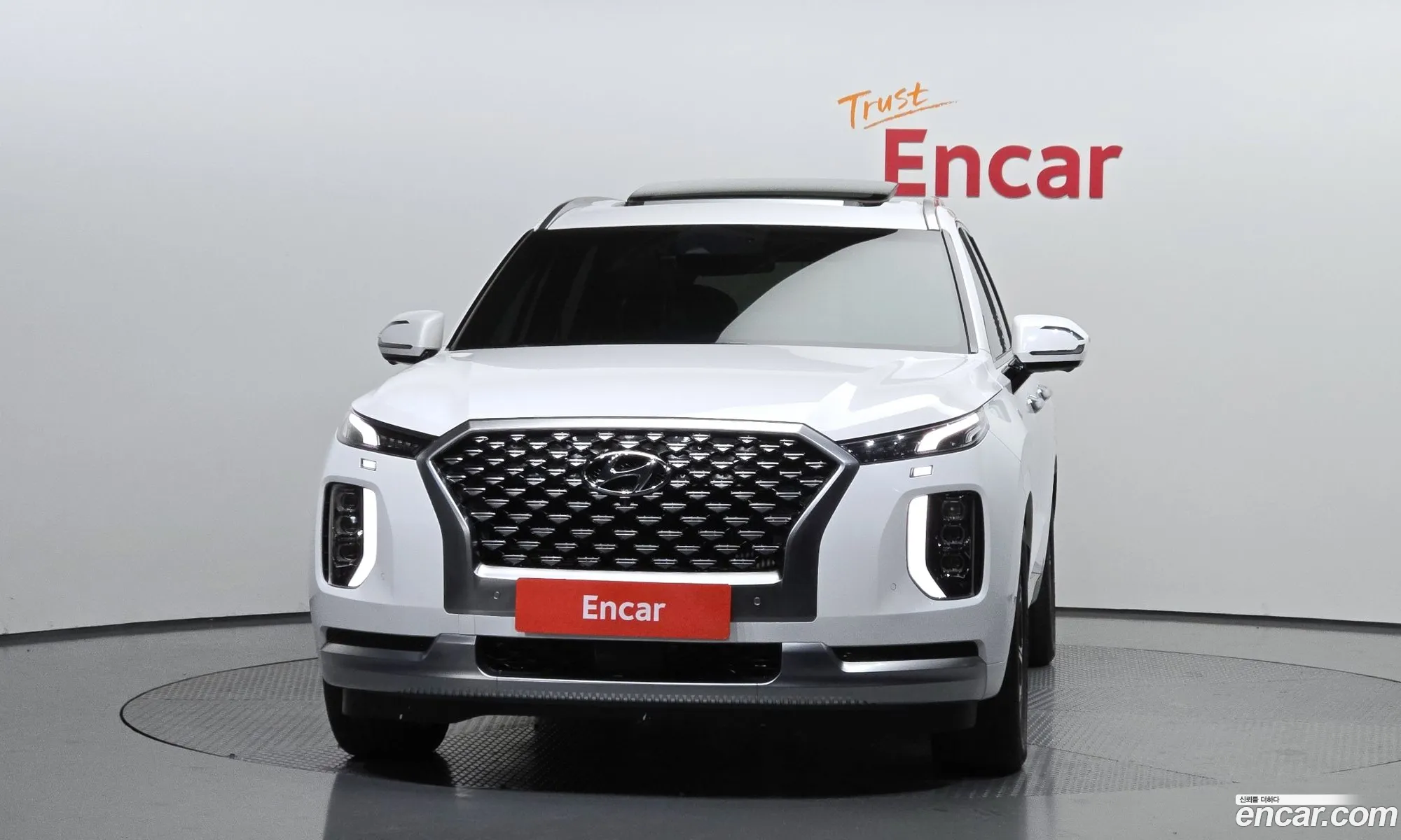 Hyundai Palisade 2021 — 10