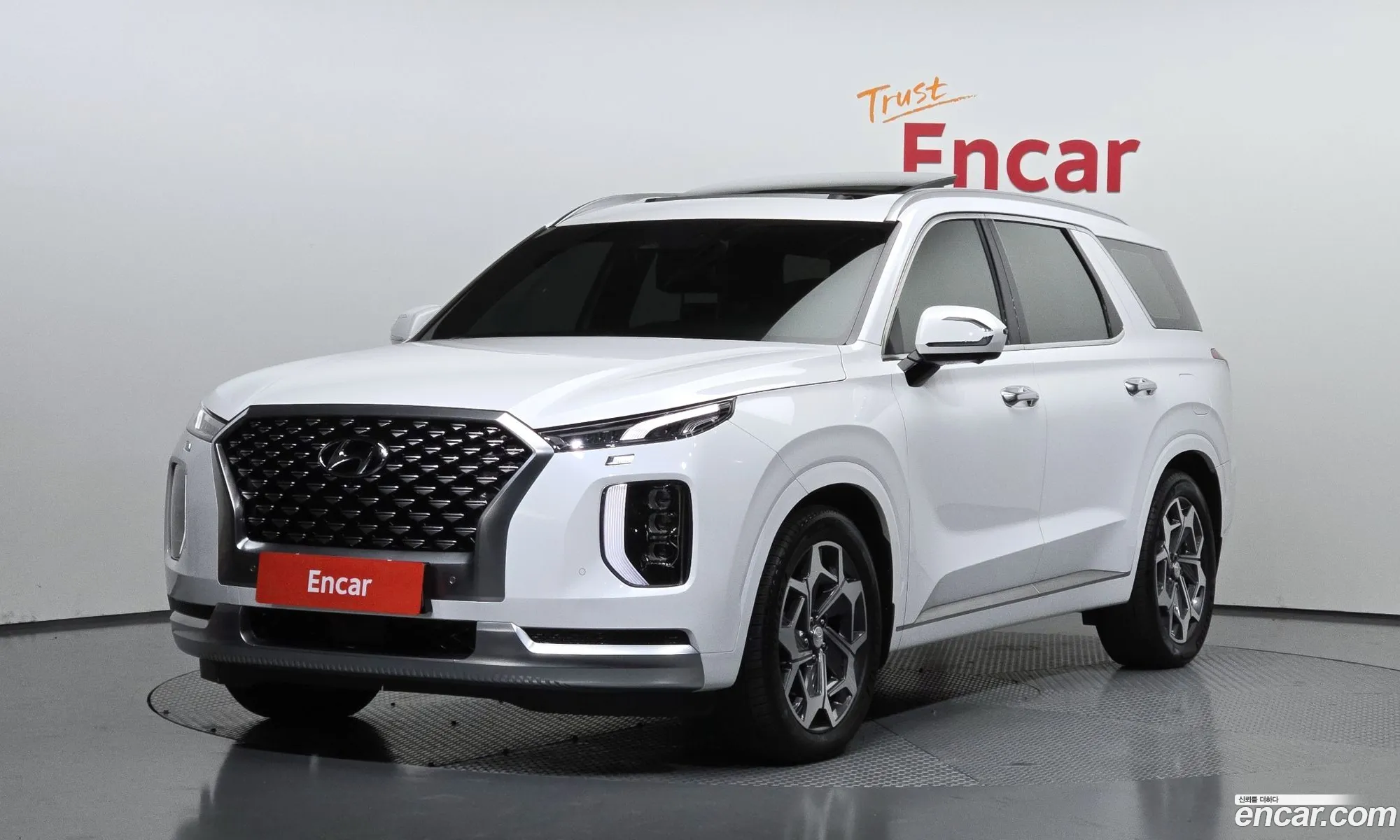 Hyundai Palisade 2021 — 9