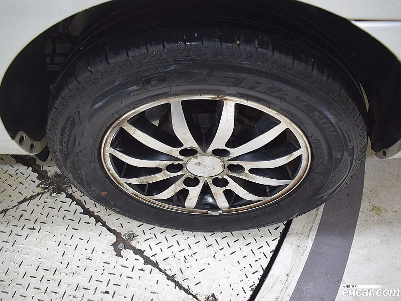 Kia Carnival R 2010 — 13