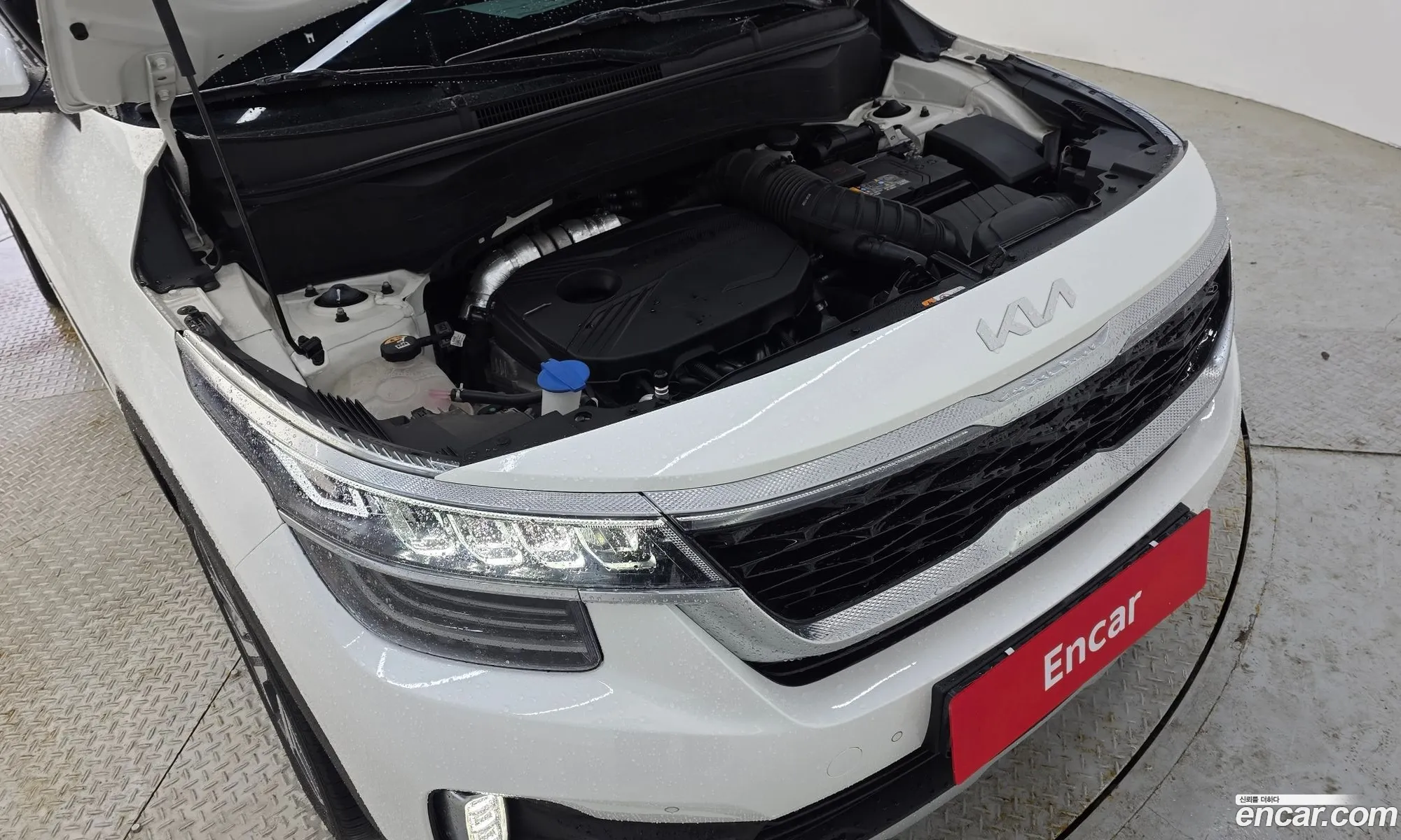 Kia Seltos 2022 — 6