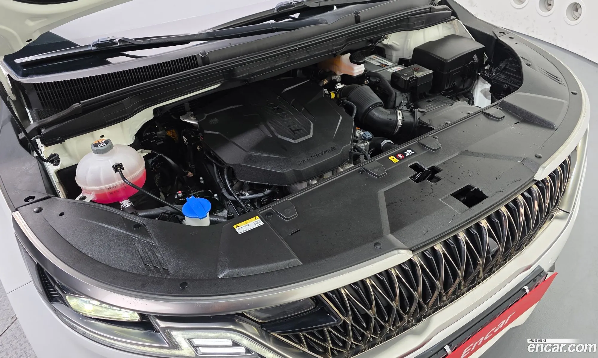 Kia Carnival 2023 KNANE81BBPS343566 — 13