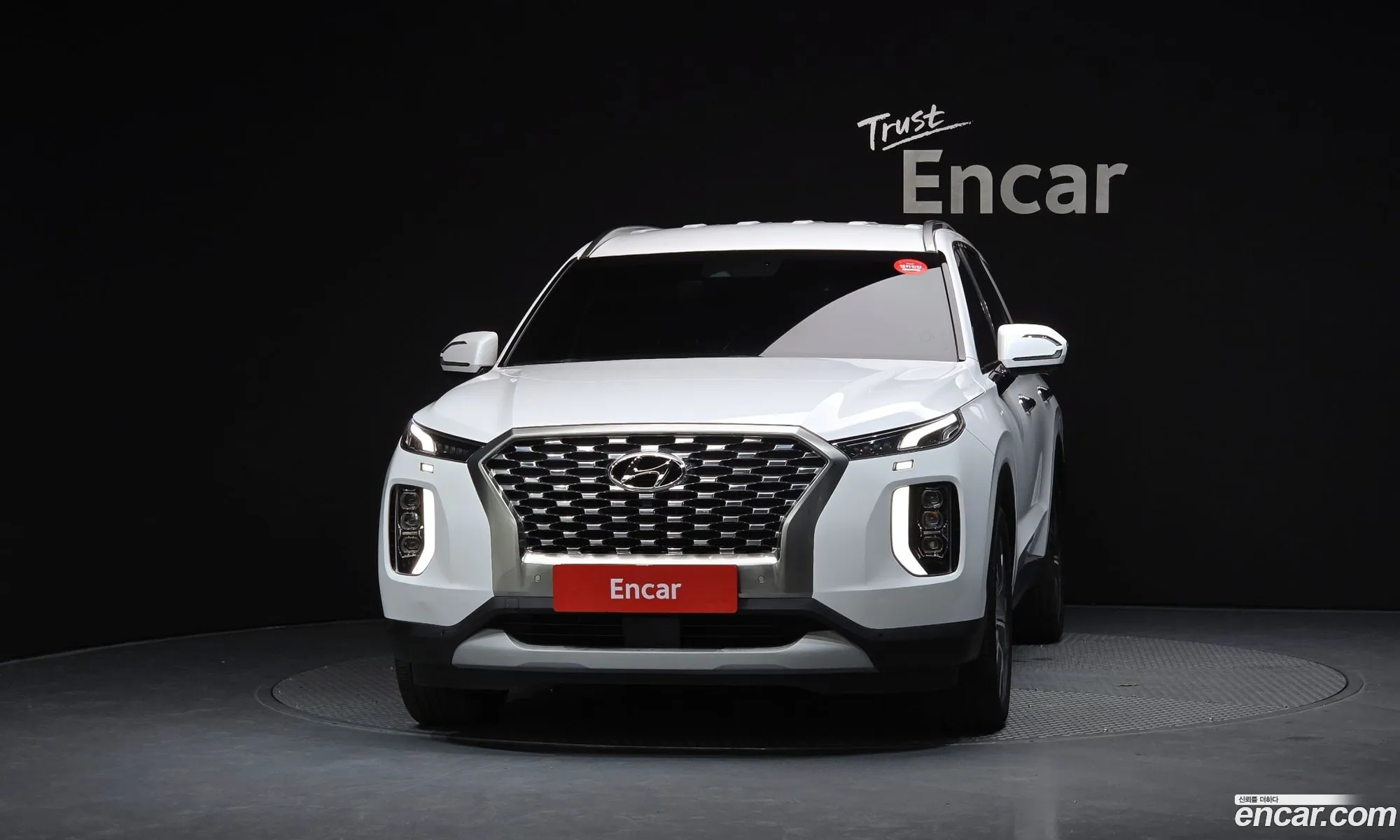 Hyundai Palisade 2021 — 6