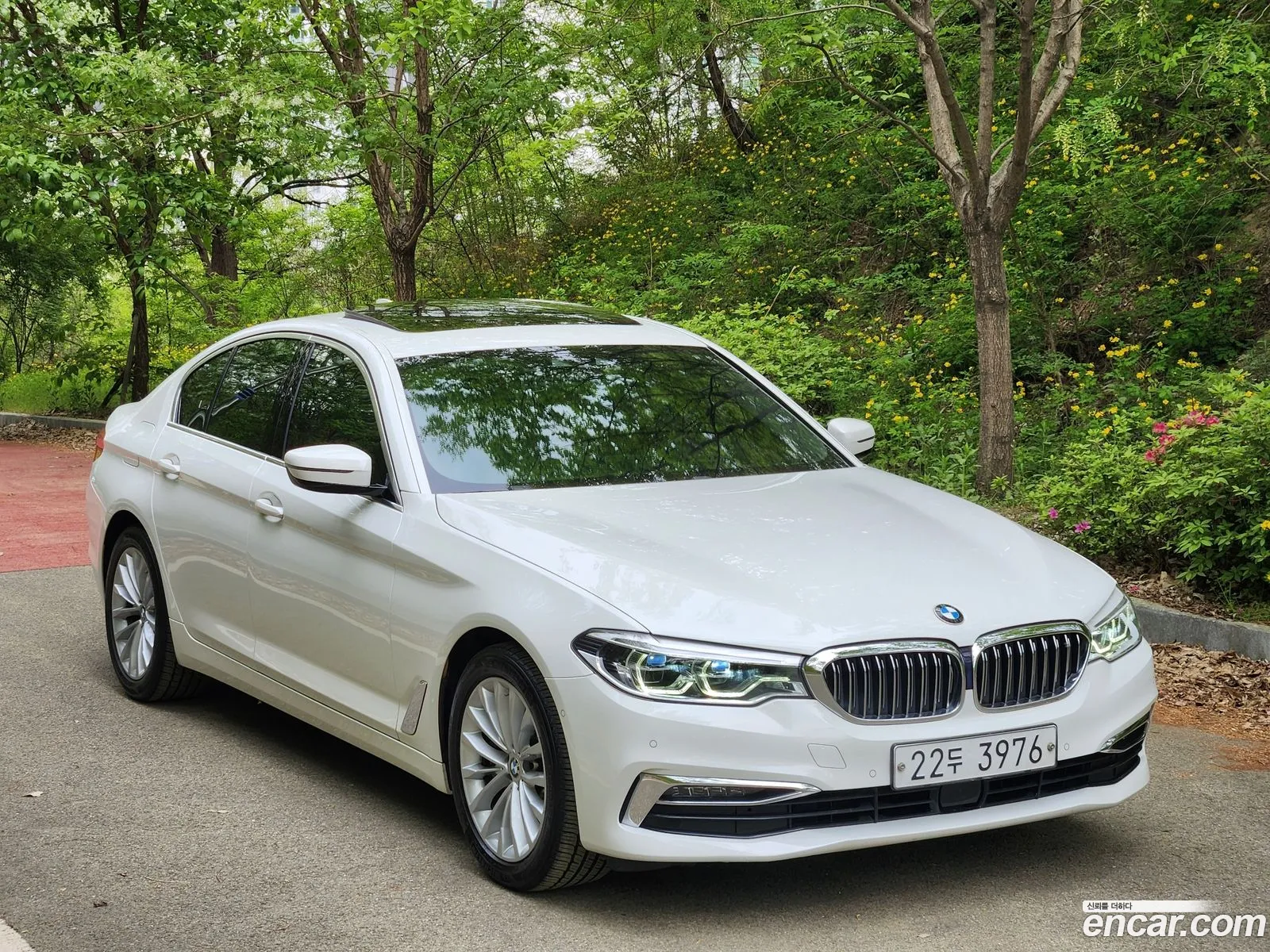 BMW 5 Series 2019 — 8