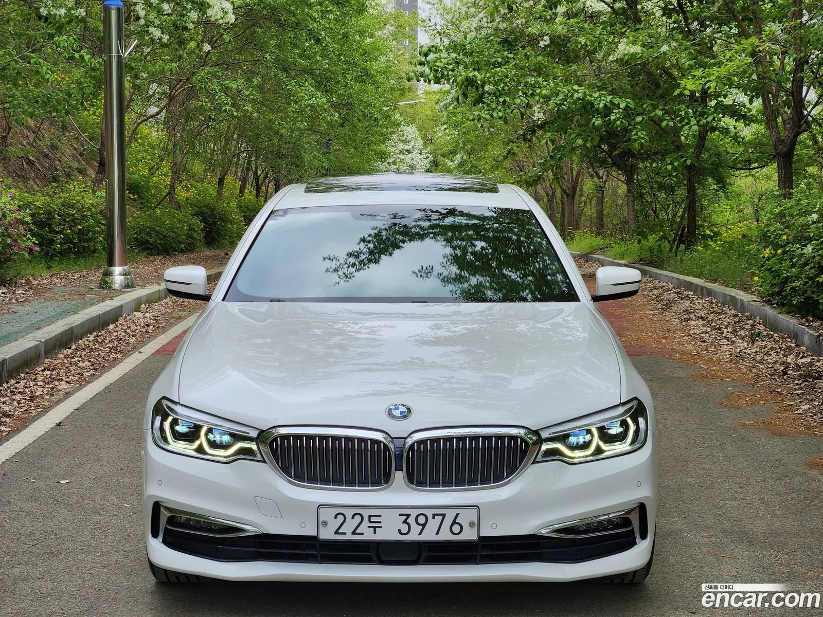 BMW 5 Series 2019 — 13