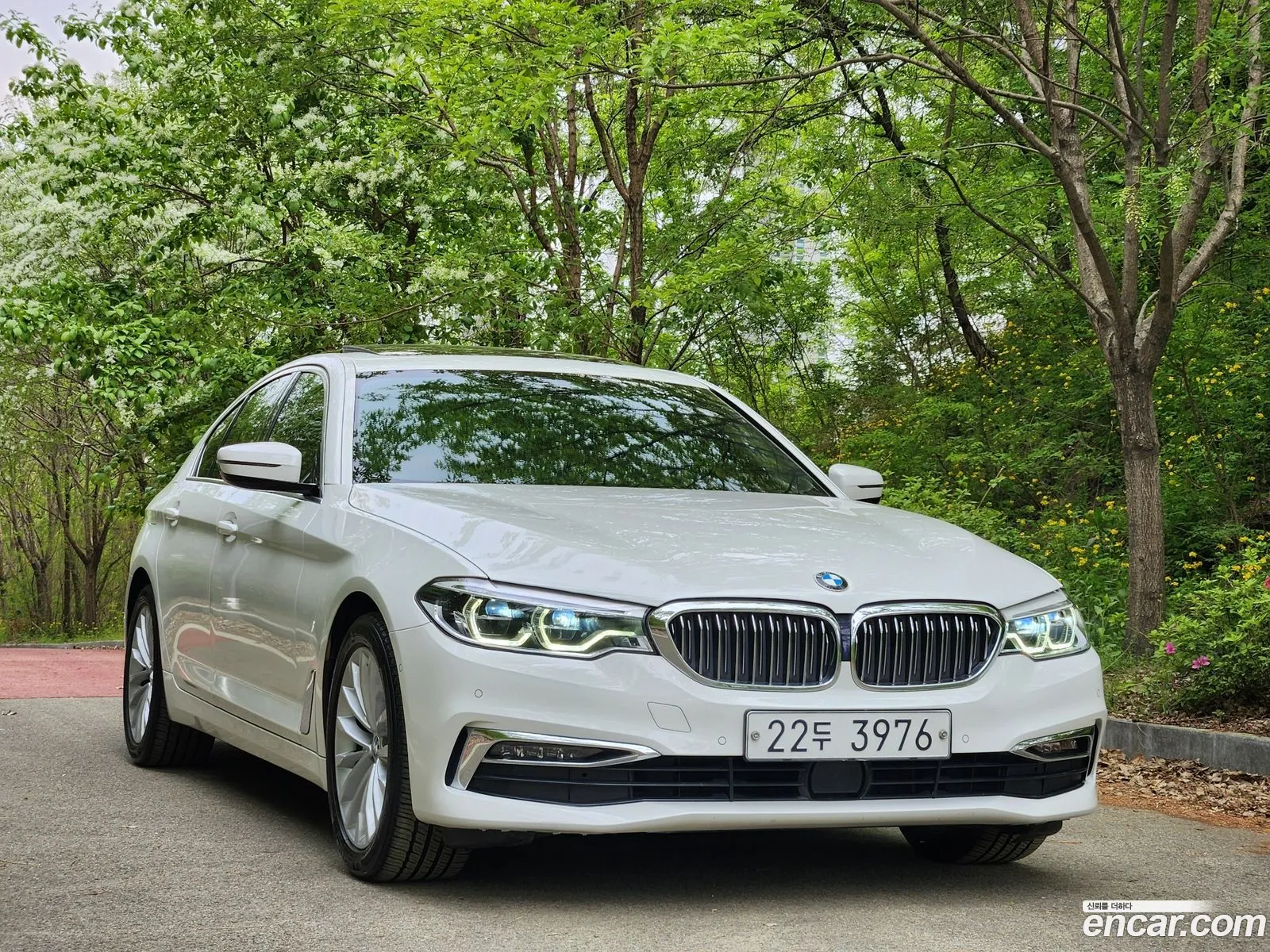 BMW 5 Series 2019 — 19