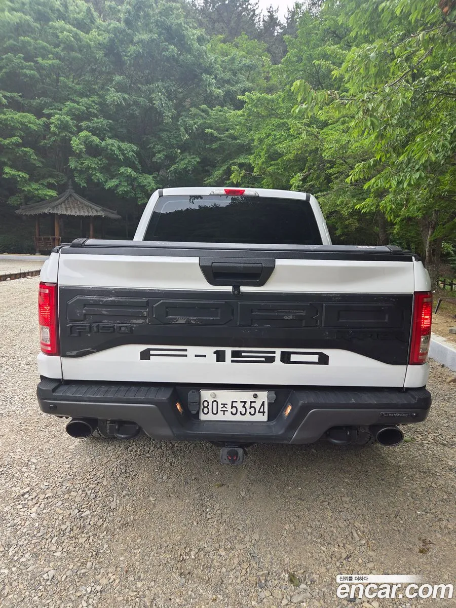 Ford F-150 2015 — 3