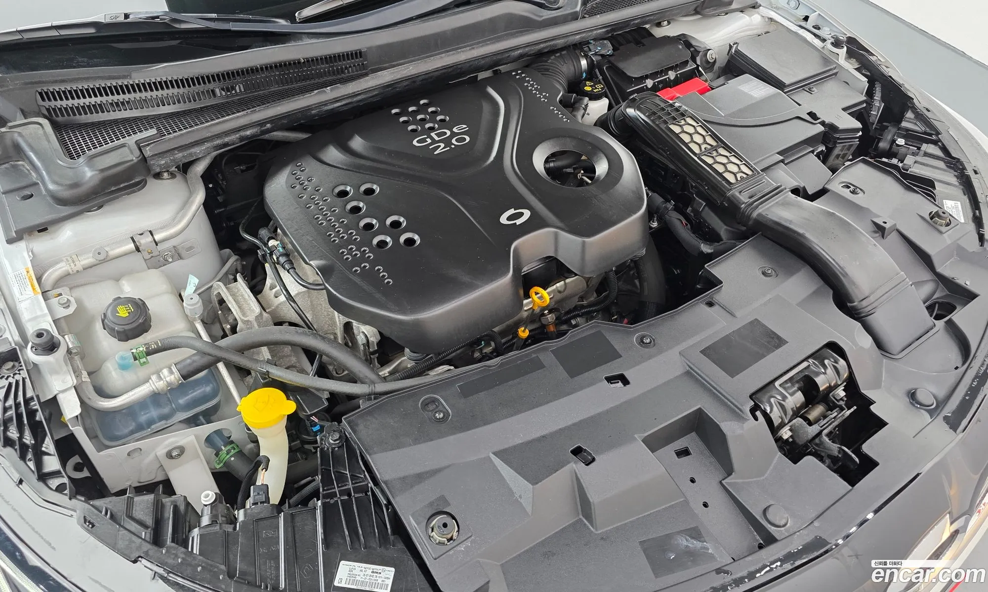 Renault Korea (Samsung) SM6 2018 — 26