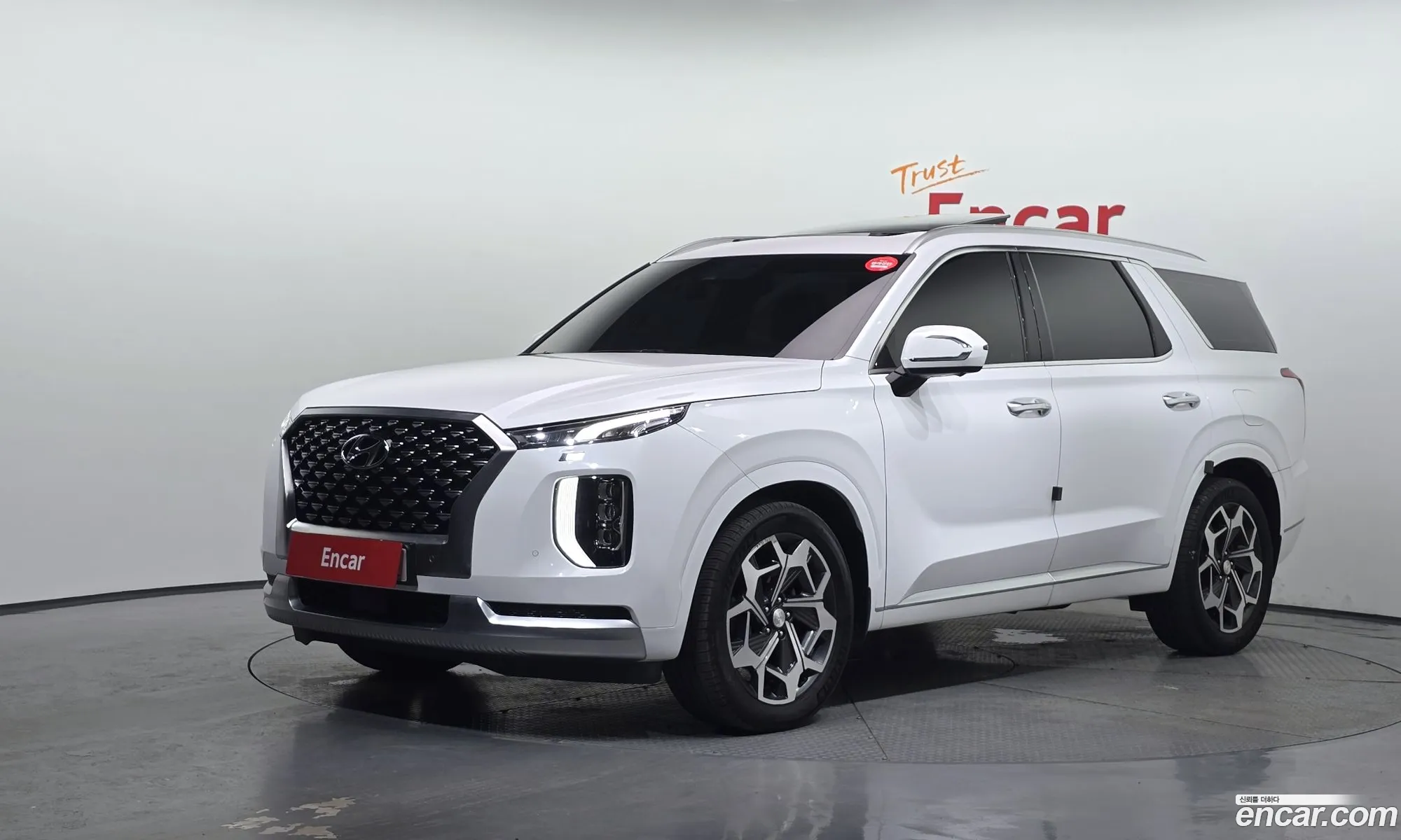 Hyundai Palisade 2020 KMHR581EBMU186482 — 20