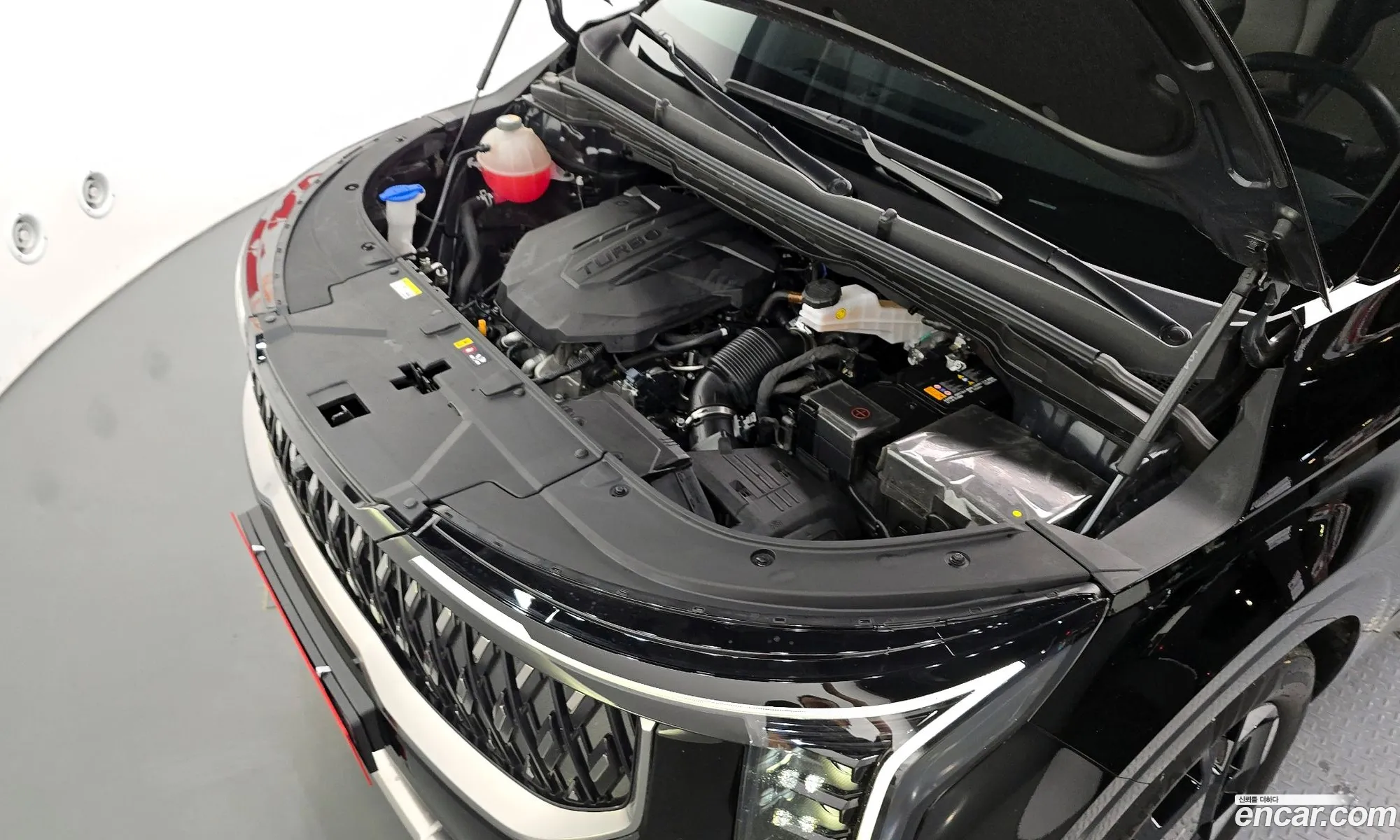 Kia Carnival 2025 KNANE81BBSS525402 — 15