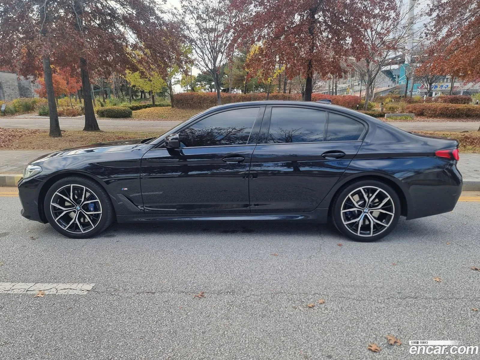 BMW 5 Series 2023 — 4