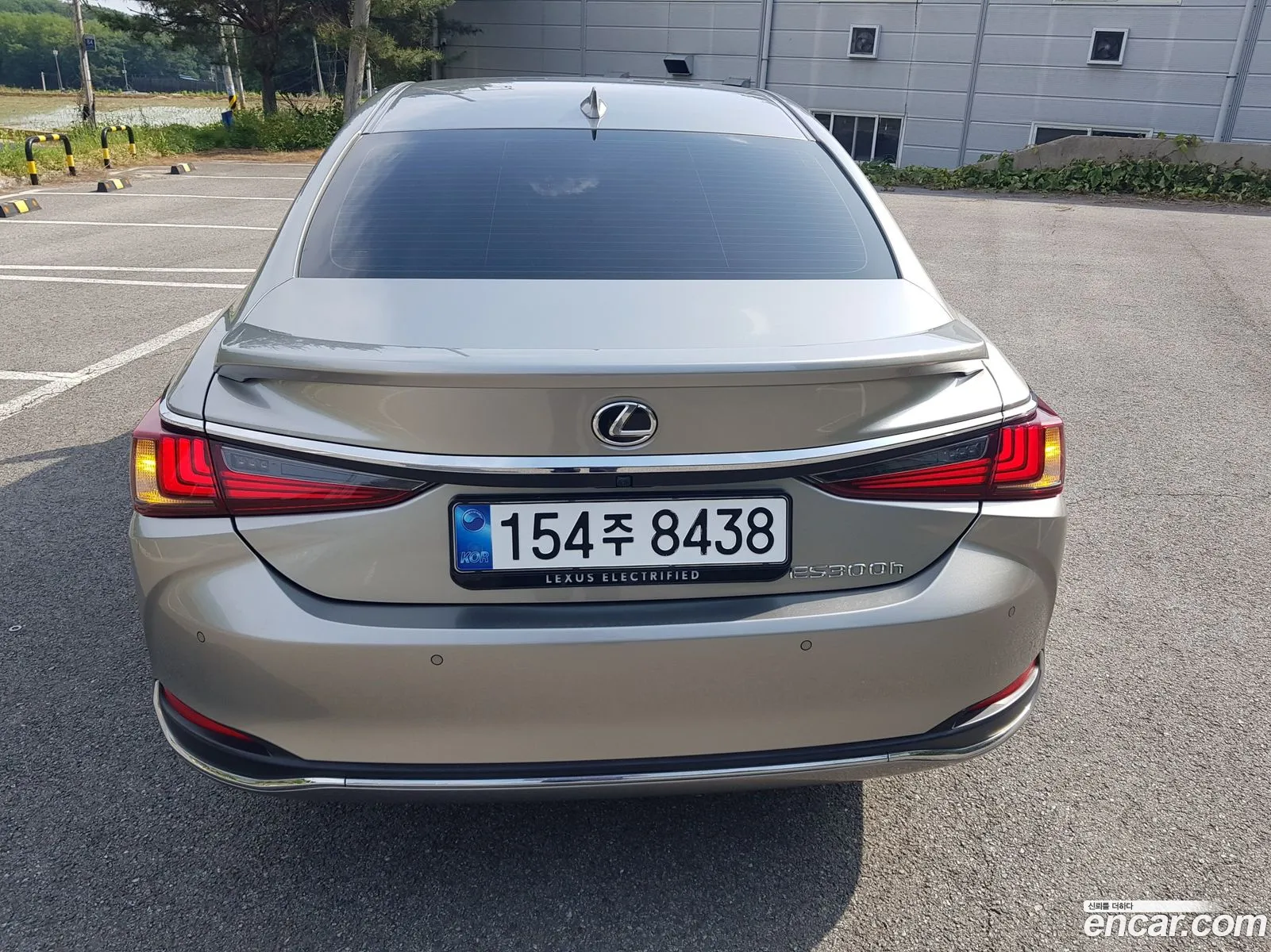 Lexus ES300h 7th Gen 2025 — 17