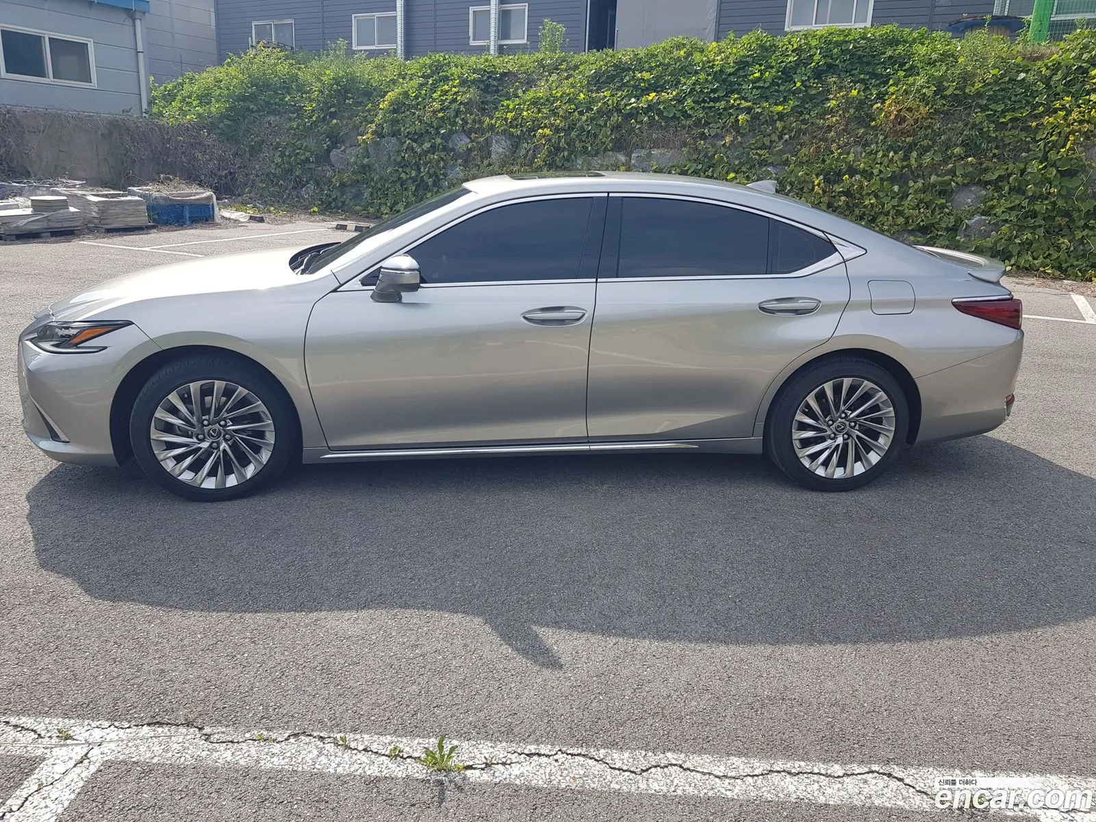 Lexus ES300h 7th Gen 2025 — 11