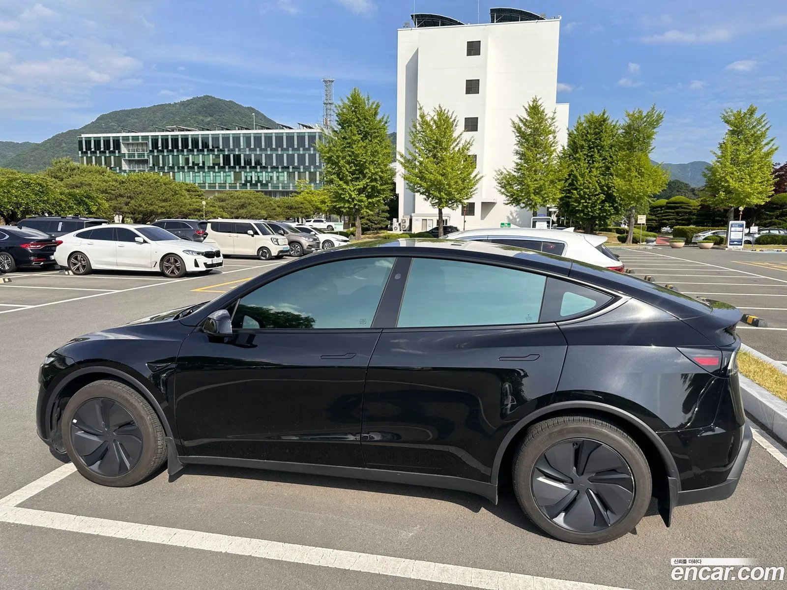 Tesla Model Y 2025 — 3