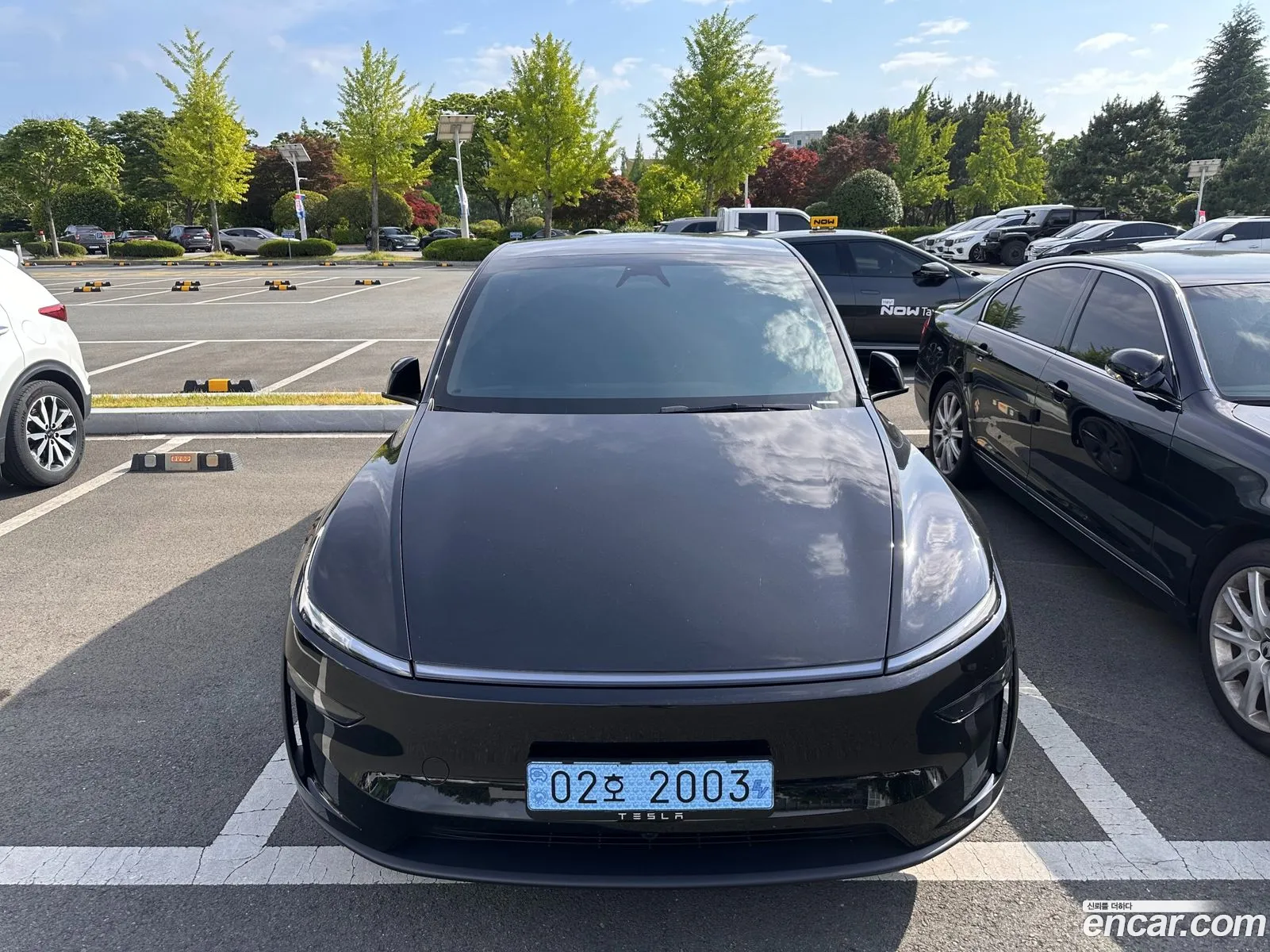 Tesla Model Y 2025 — 10