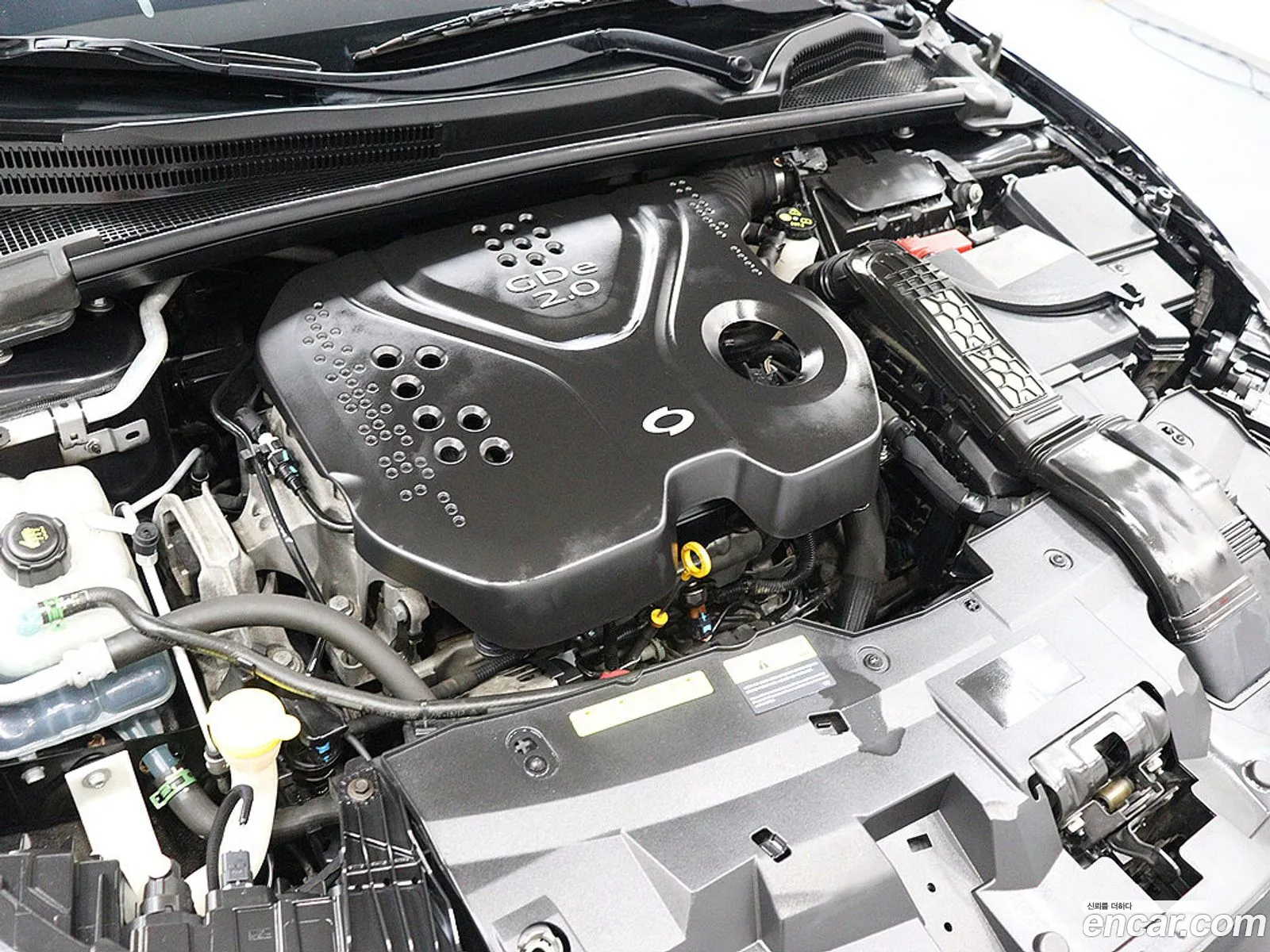Renault Korea (Samsung) SM6 2017 — 16