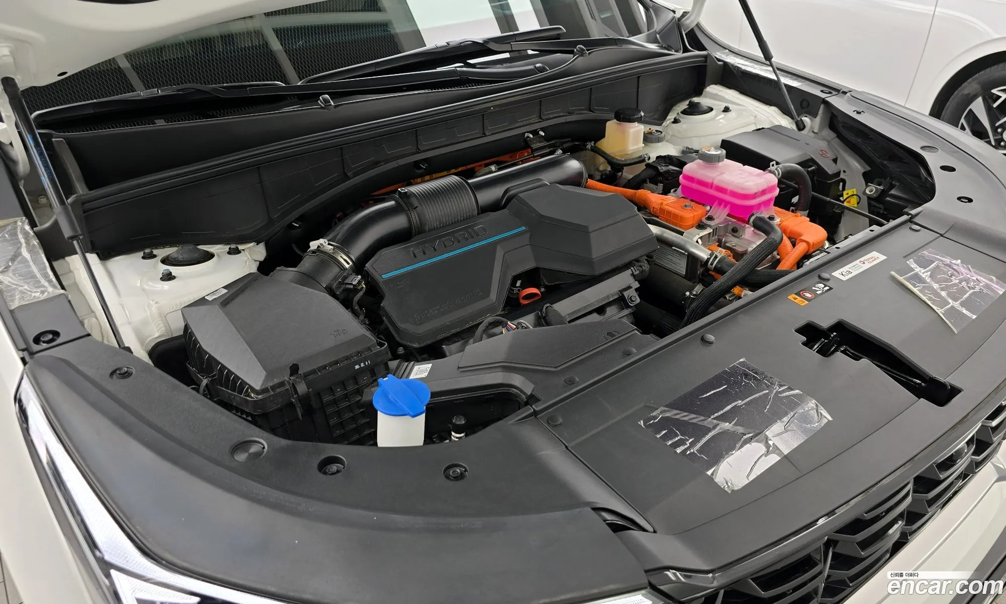 Kia Sorento 2024 KNARK81GBRA276481 — 25