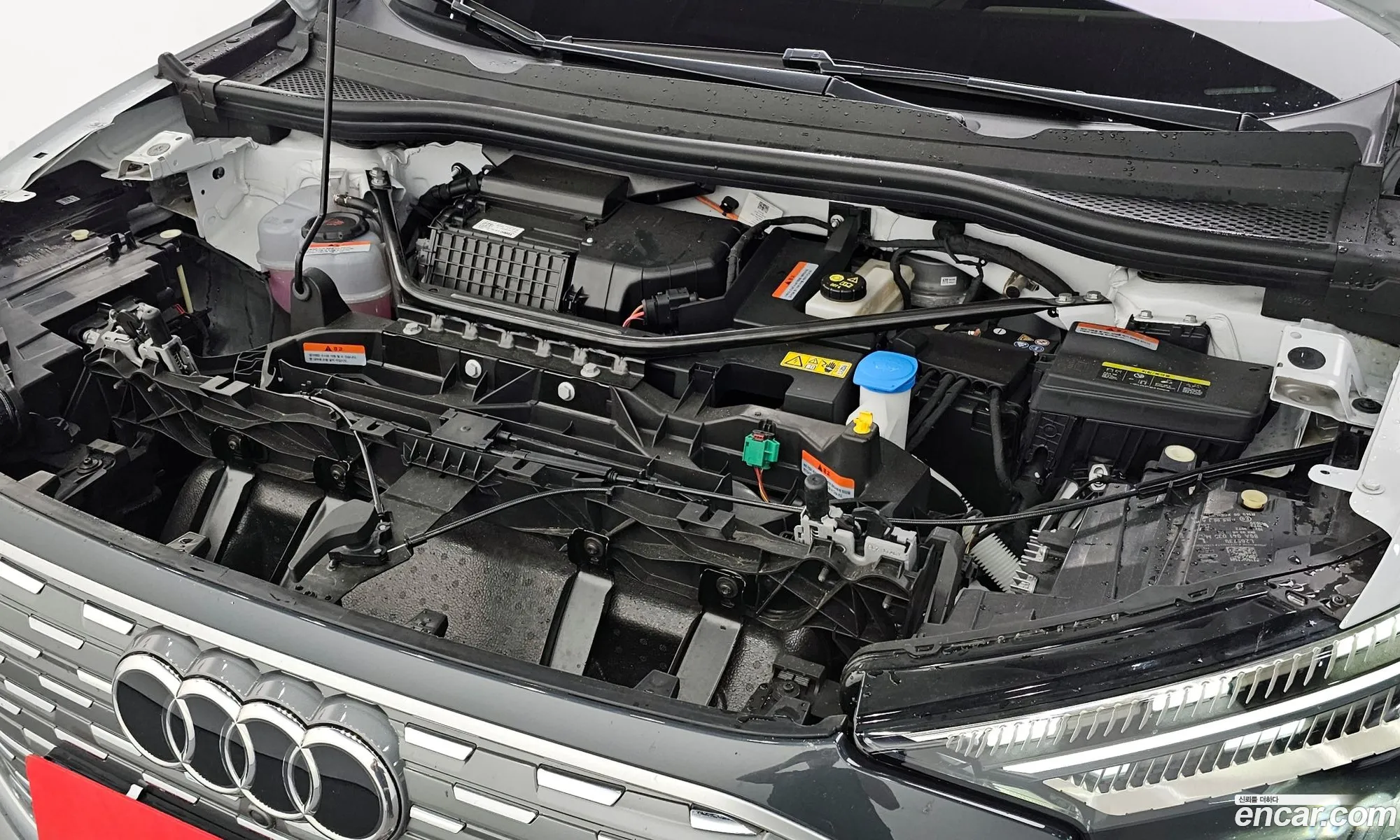 Audi Q4 e-tron 2025 WAUZZZFZ3SP015719 — 12