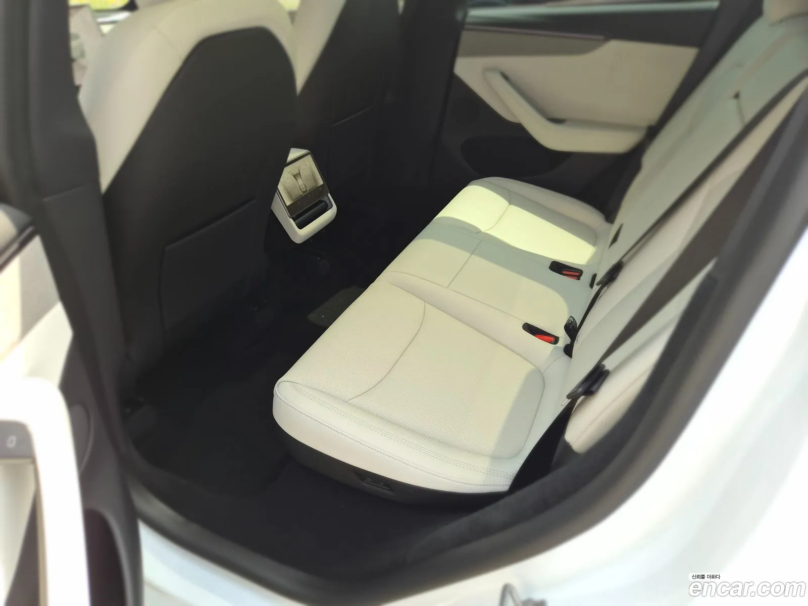 Tesla Model Y 2026 — 12