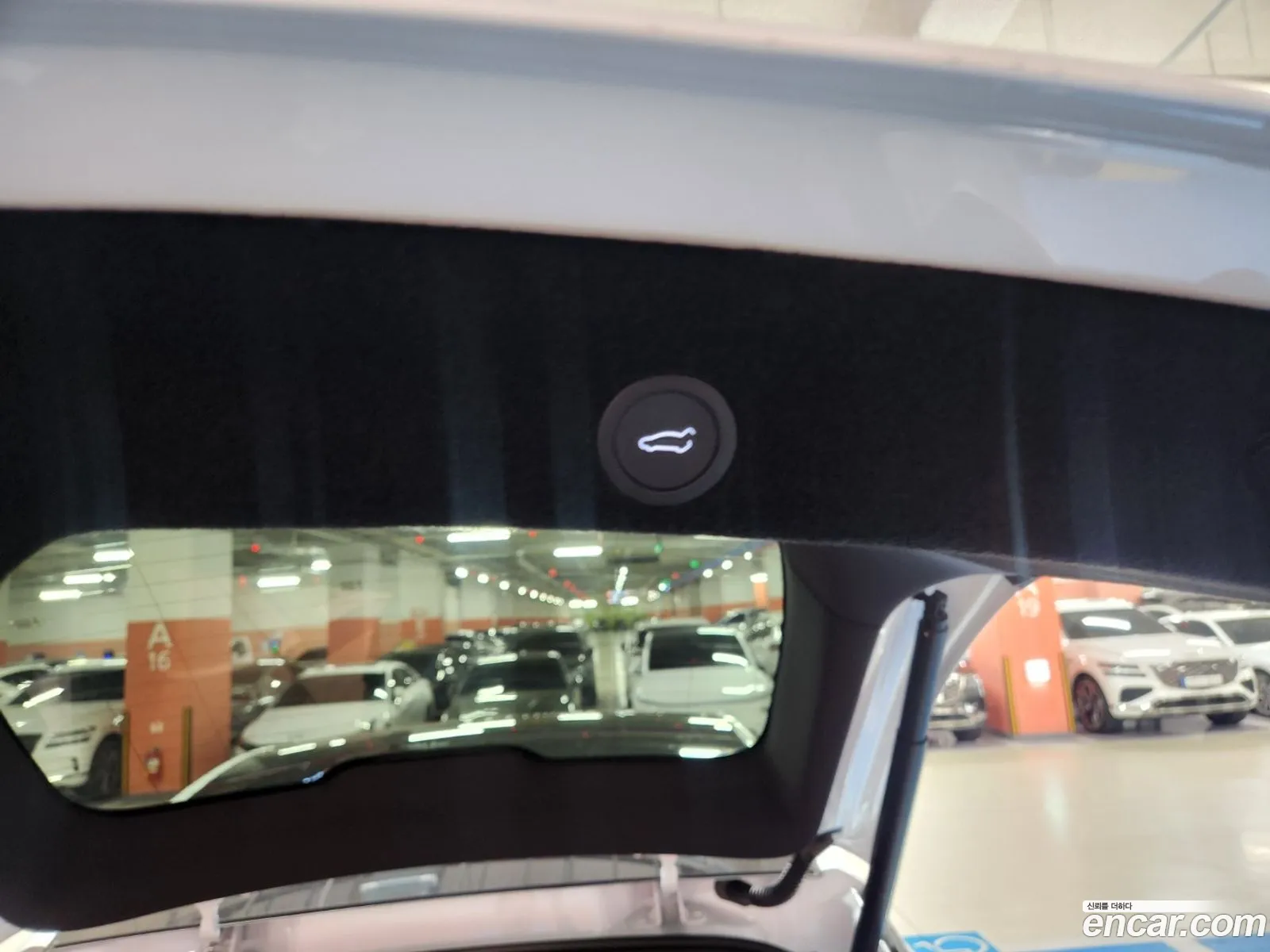 Tesla Model Y 2026 — 6