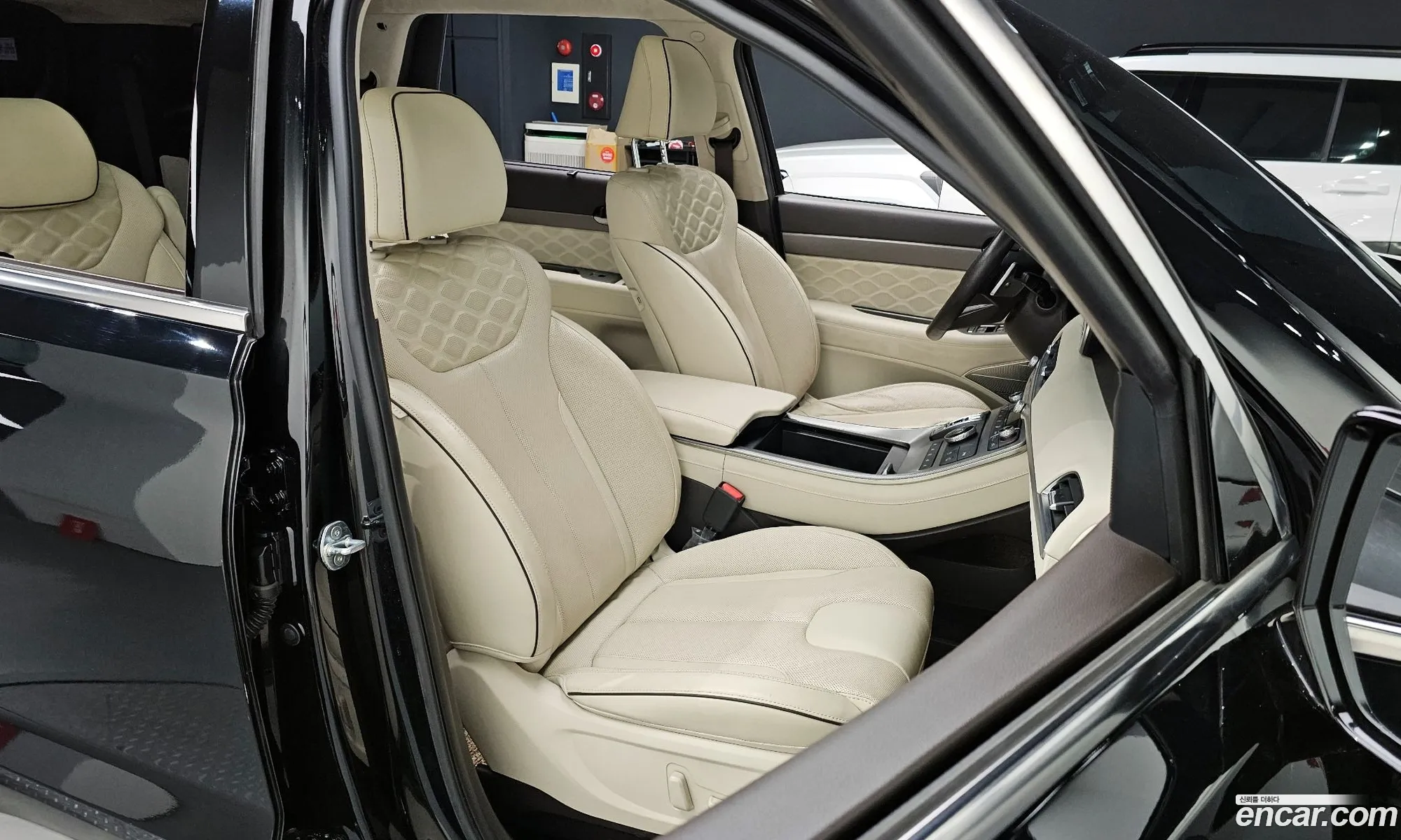 Hyundai Palisade 2021 — 19