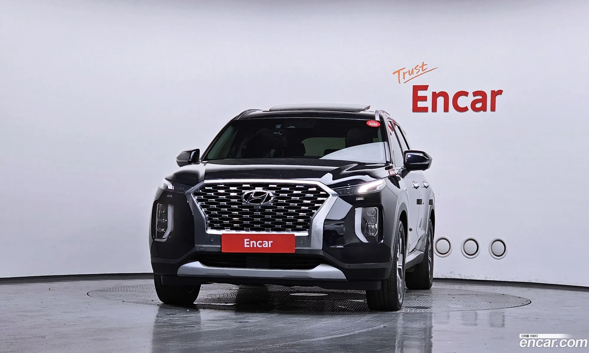 Hyundai Palisade 2021 — 13