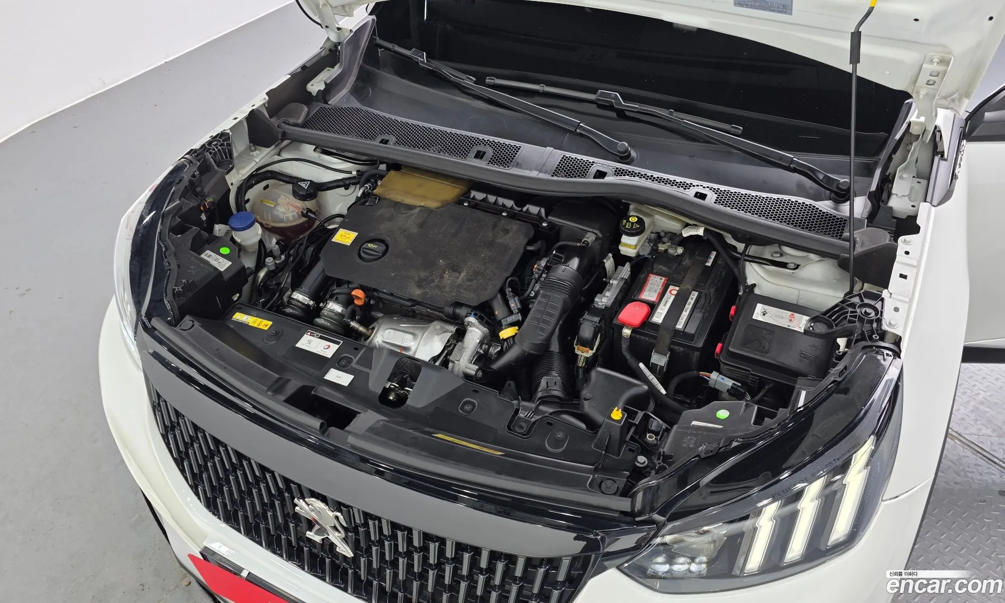 Peugeot 2008 2021 — 31
