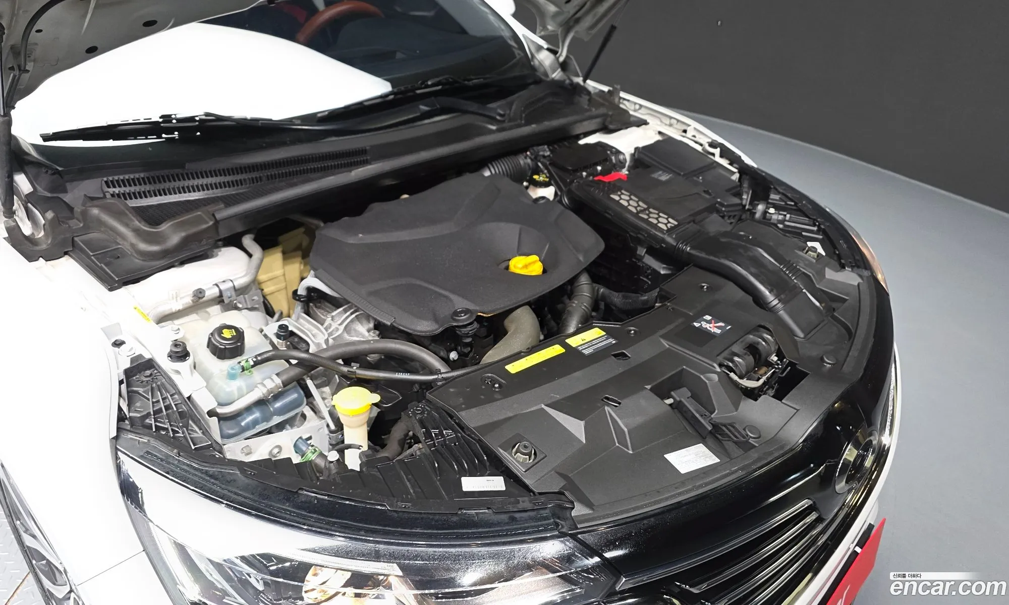 Renault Korea (Samsung) SM6 2017 — 16