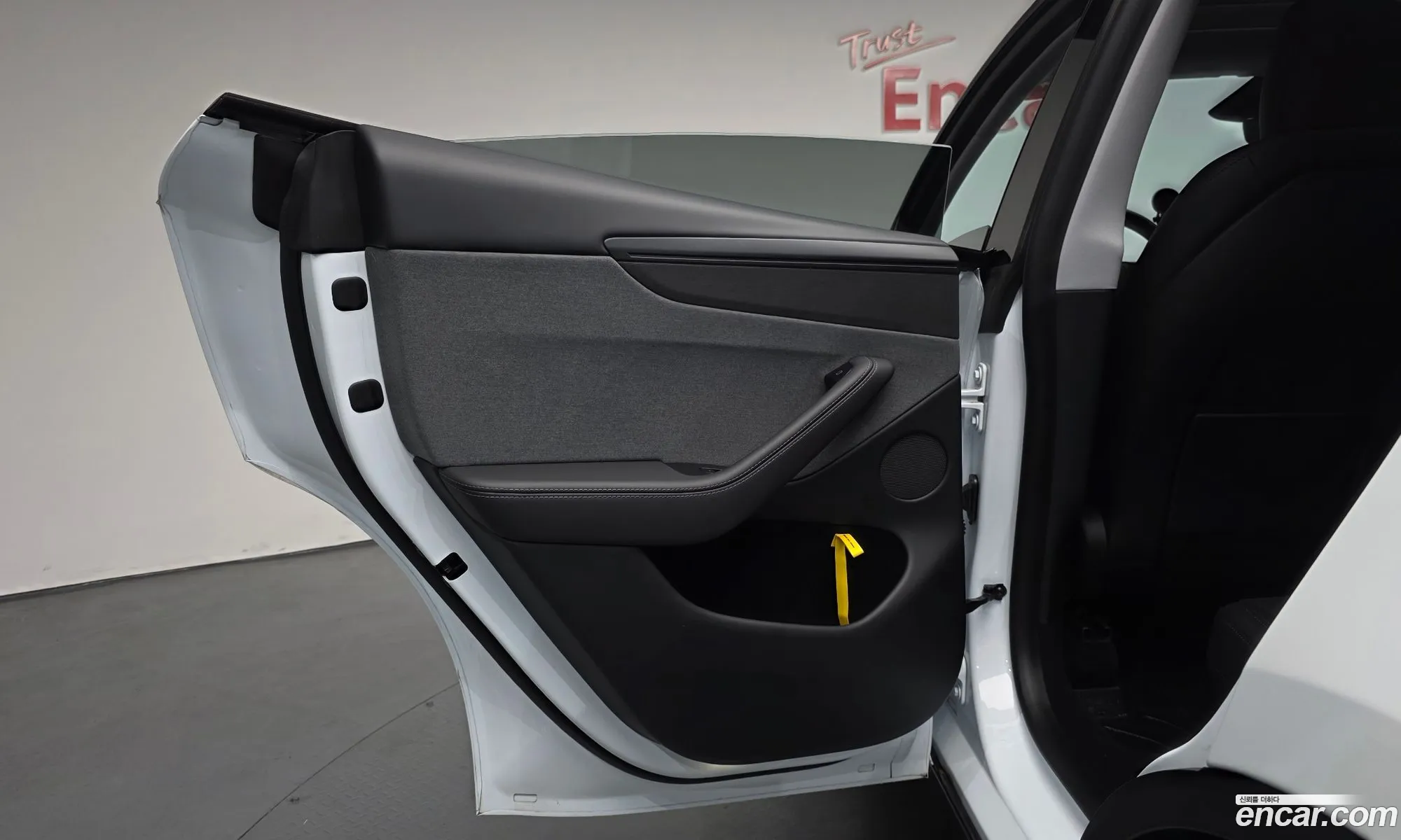Tesla Model Y 2025 LRWYGCFJ9SC027390 — 11