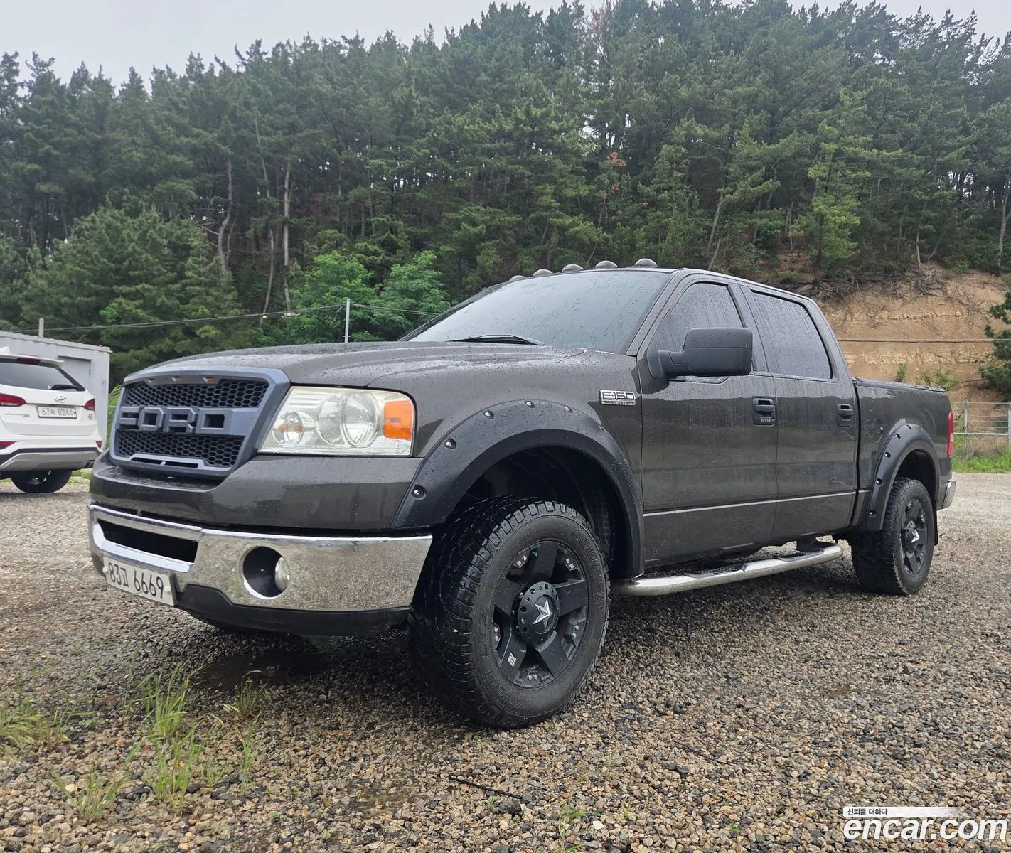 Ford F-150 2006 — 7