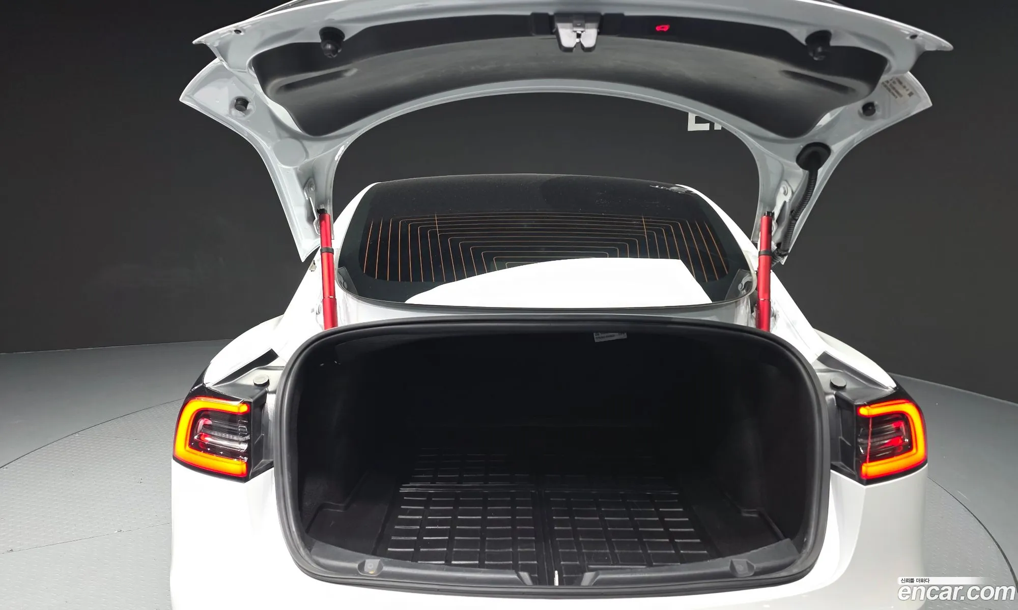 Tesla Model 3 2020 5YJ3E1EA0LF694474 — 13