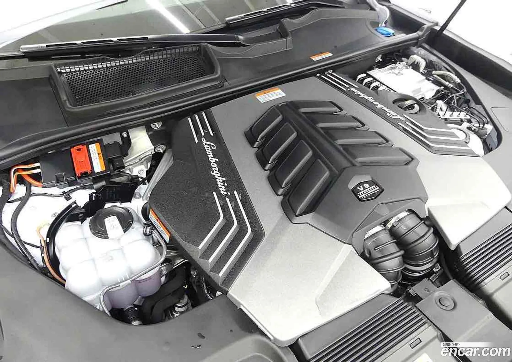 Lamborghini Urus 2025 — 16