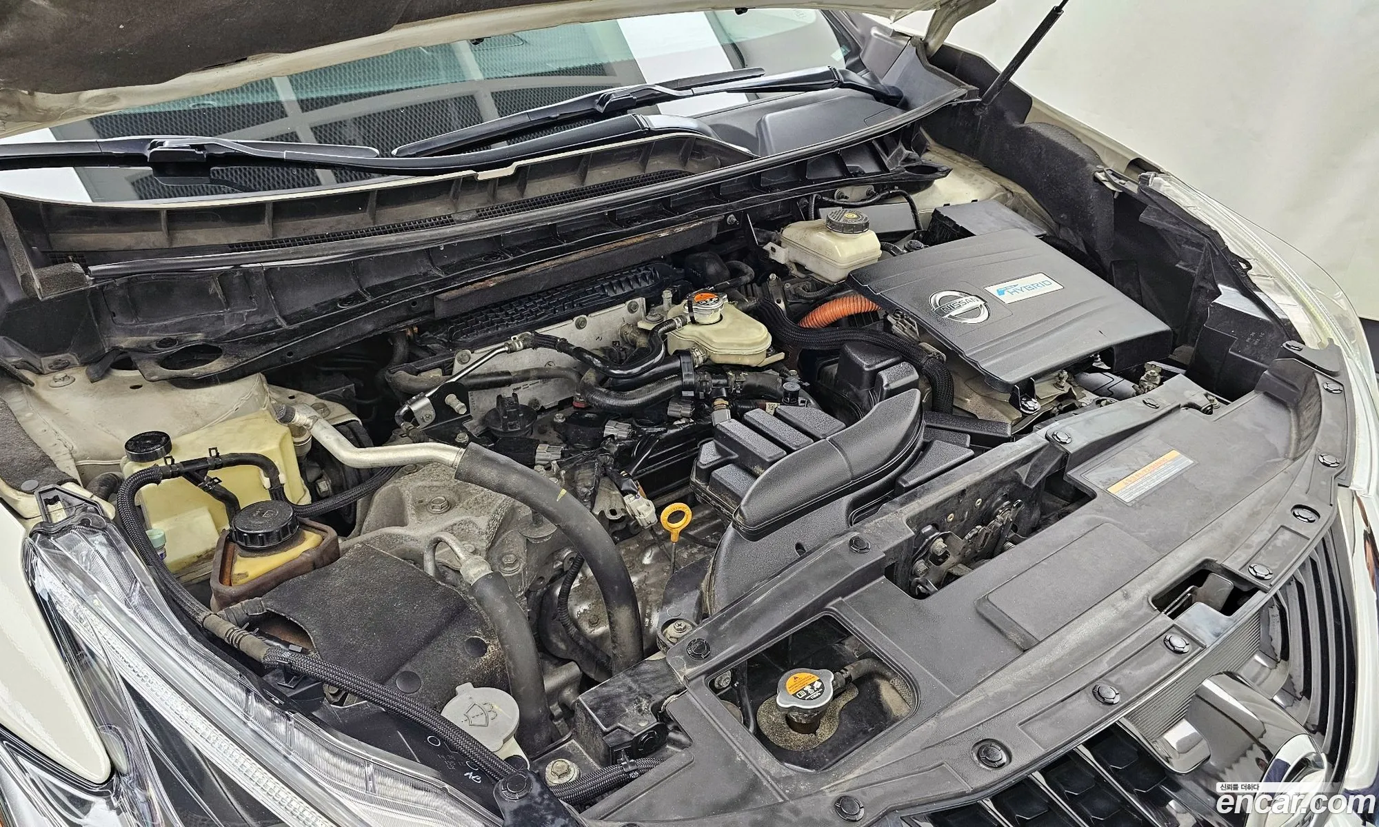 Nissan Murano 2016 5N1CZ2MH6GN129268 — 6