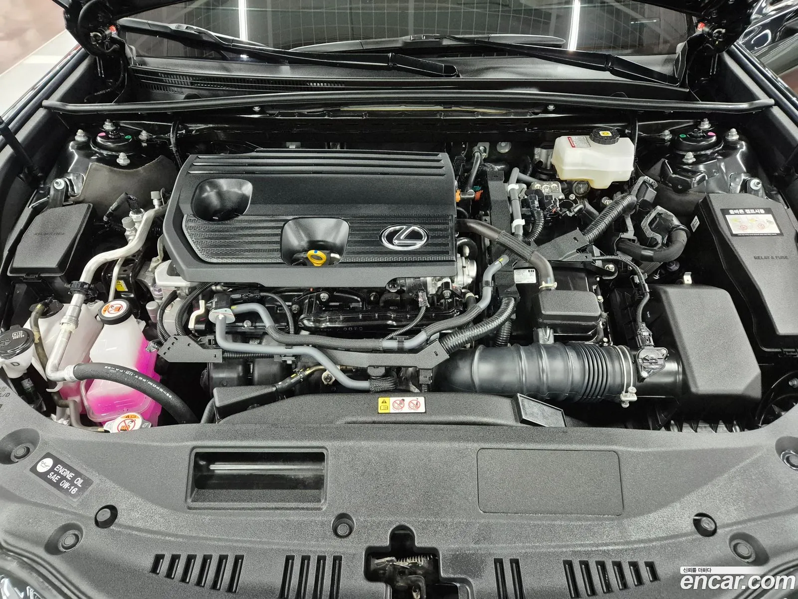 Lexus ES300h 7th Gen 2024 — 5
