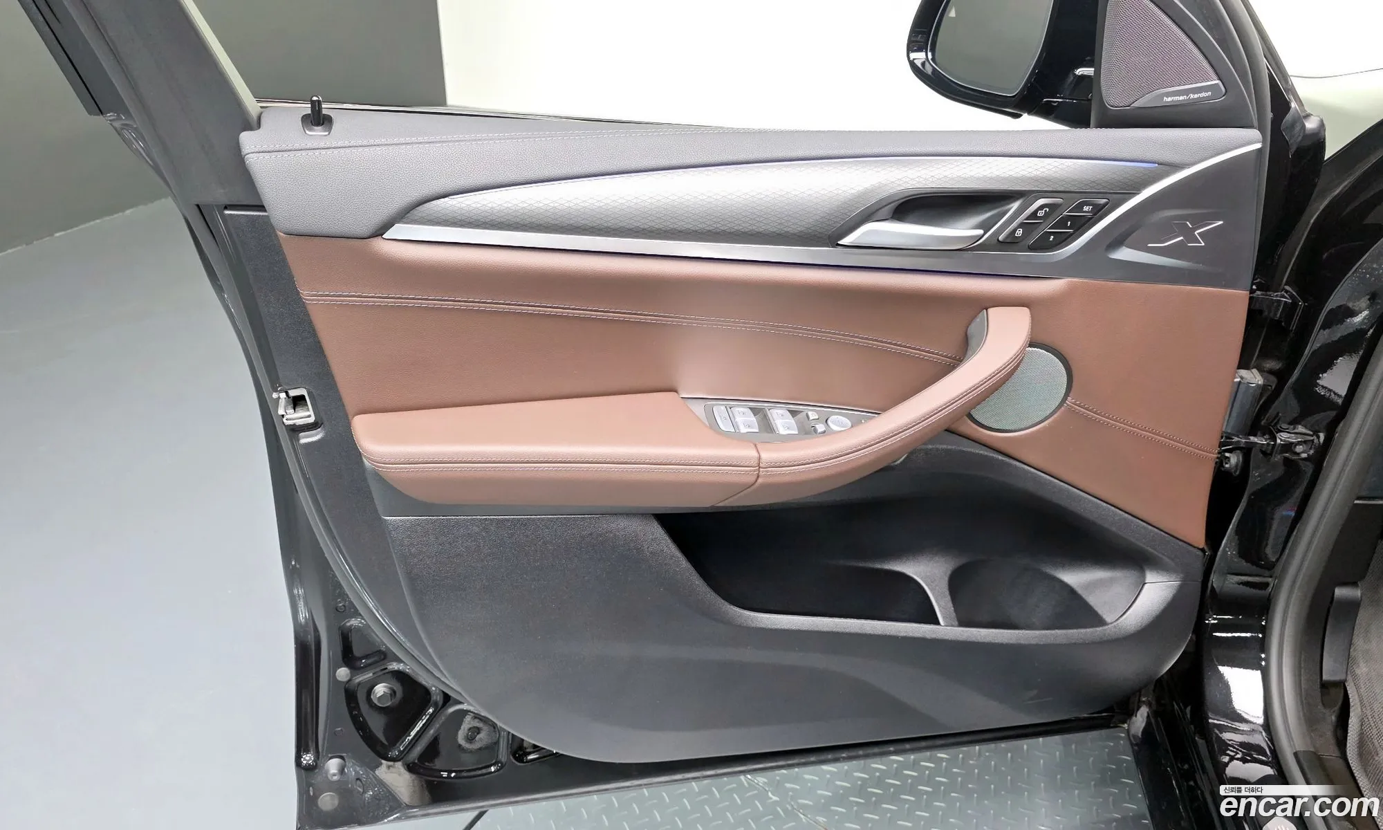 BMW X4 2025 WBA21DT08S9Z97351 — 10