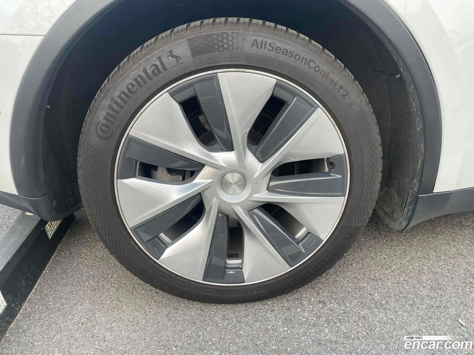 Tesla Model Y 2021 — 17