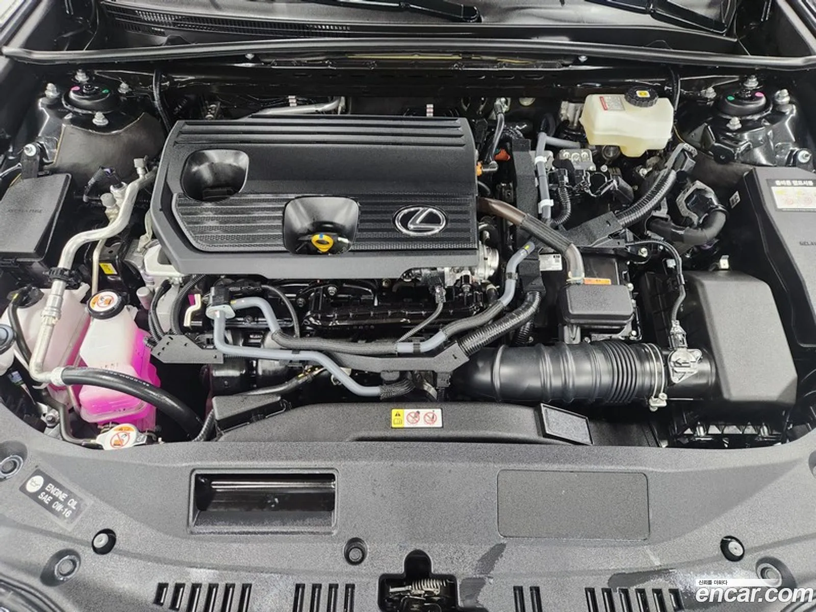 Lexus ES300h 7th Gen 2025 — 7