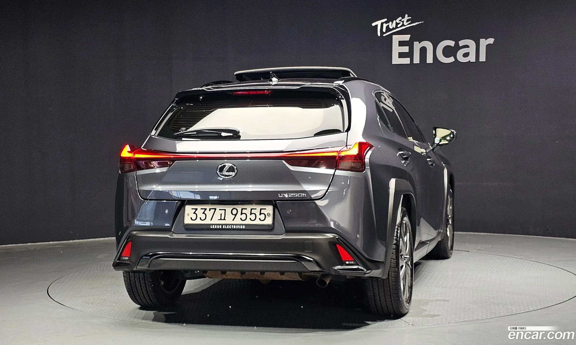 Lexus UX250h 2023 — 19