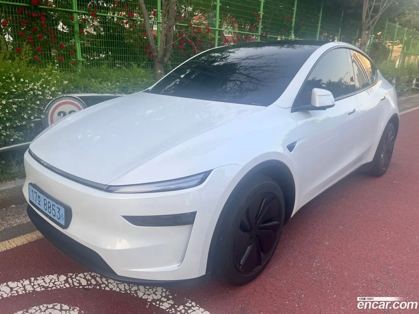Tesla Model Y 2026 — 19