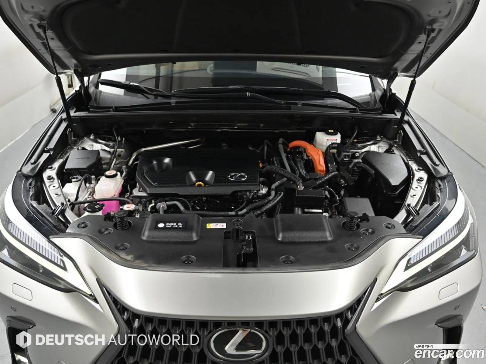 Lexus NX350h 2022 — 12