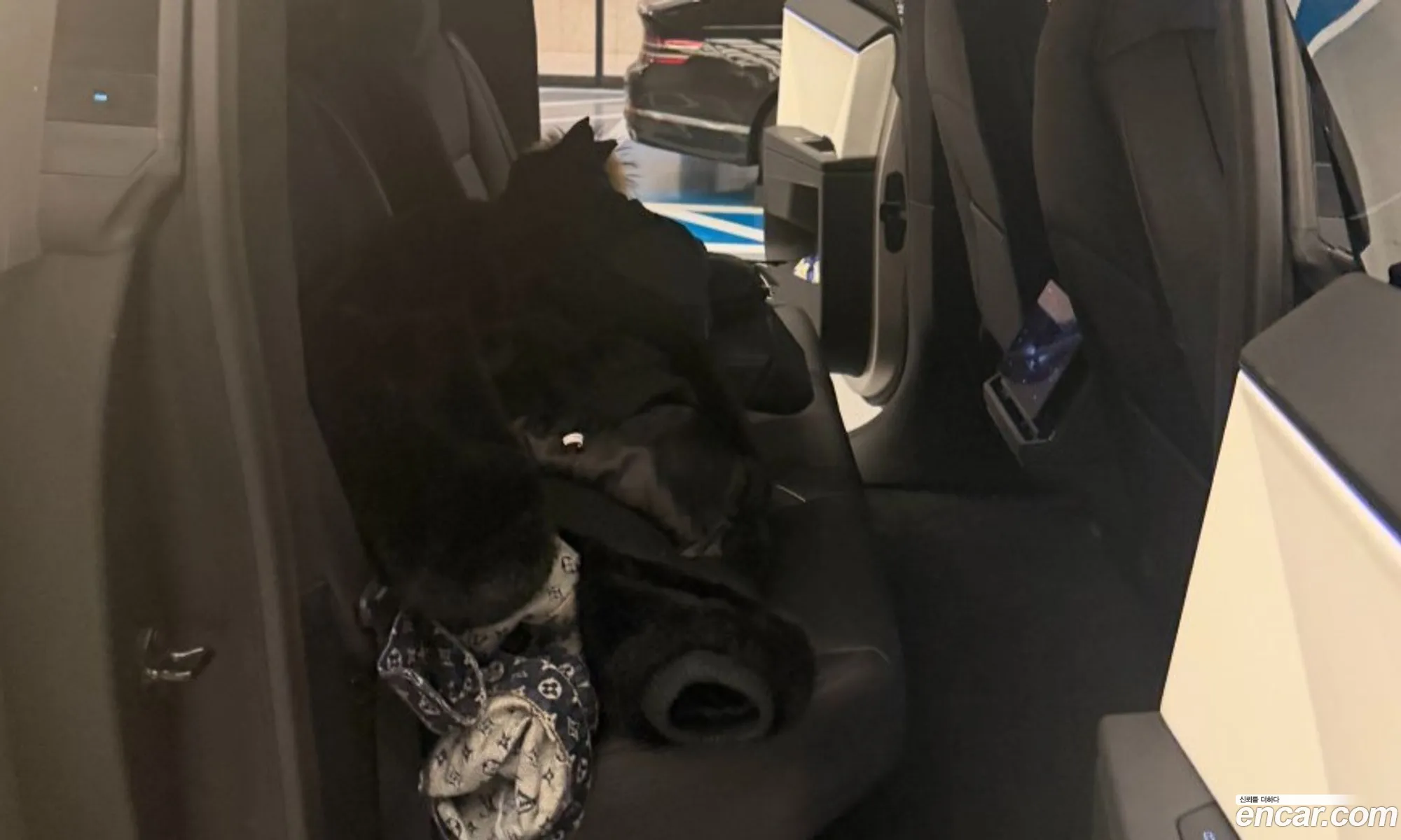 Tesla Cybertruck 2025 — 6