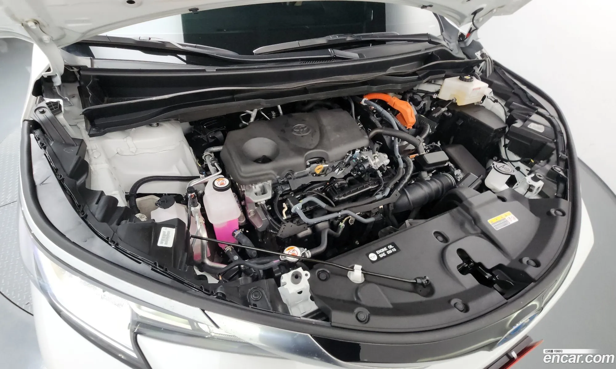 Toyota Sienna 2024 — 6