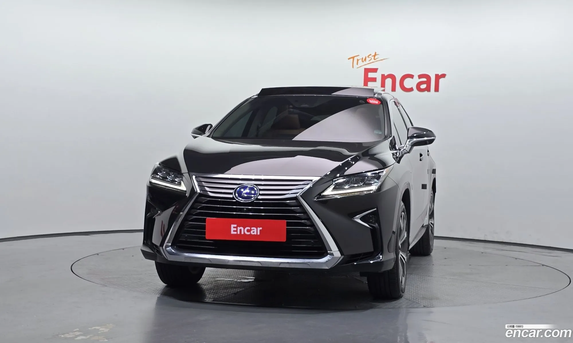 Lexus RX450h 2019 — 13