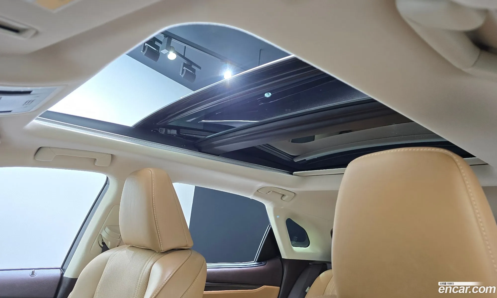Lexus RX450h 2019 — 12